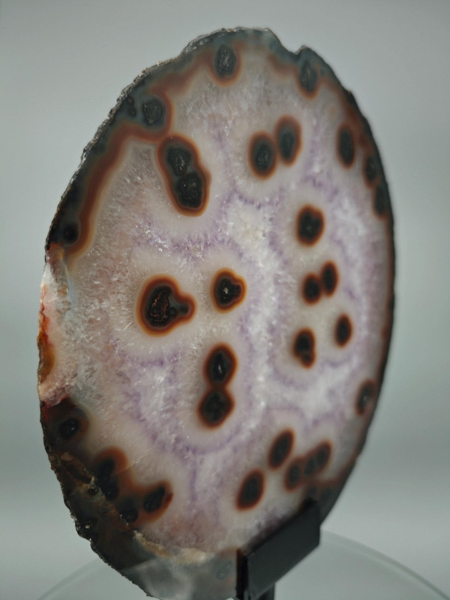 Rare Amethyst with Agate Slice & Stalactite Eyes - Backlit Brazilian Crystal Specimen - Unique Clear Formation - One of a Kind Crystal Hoarder
