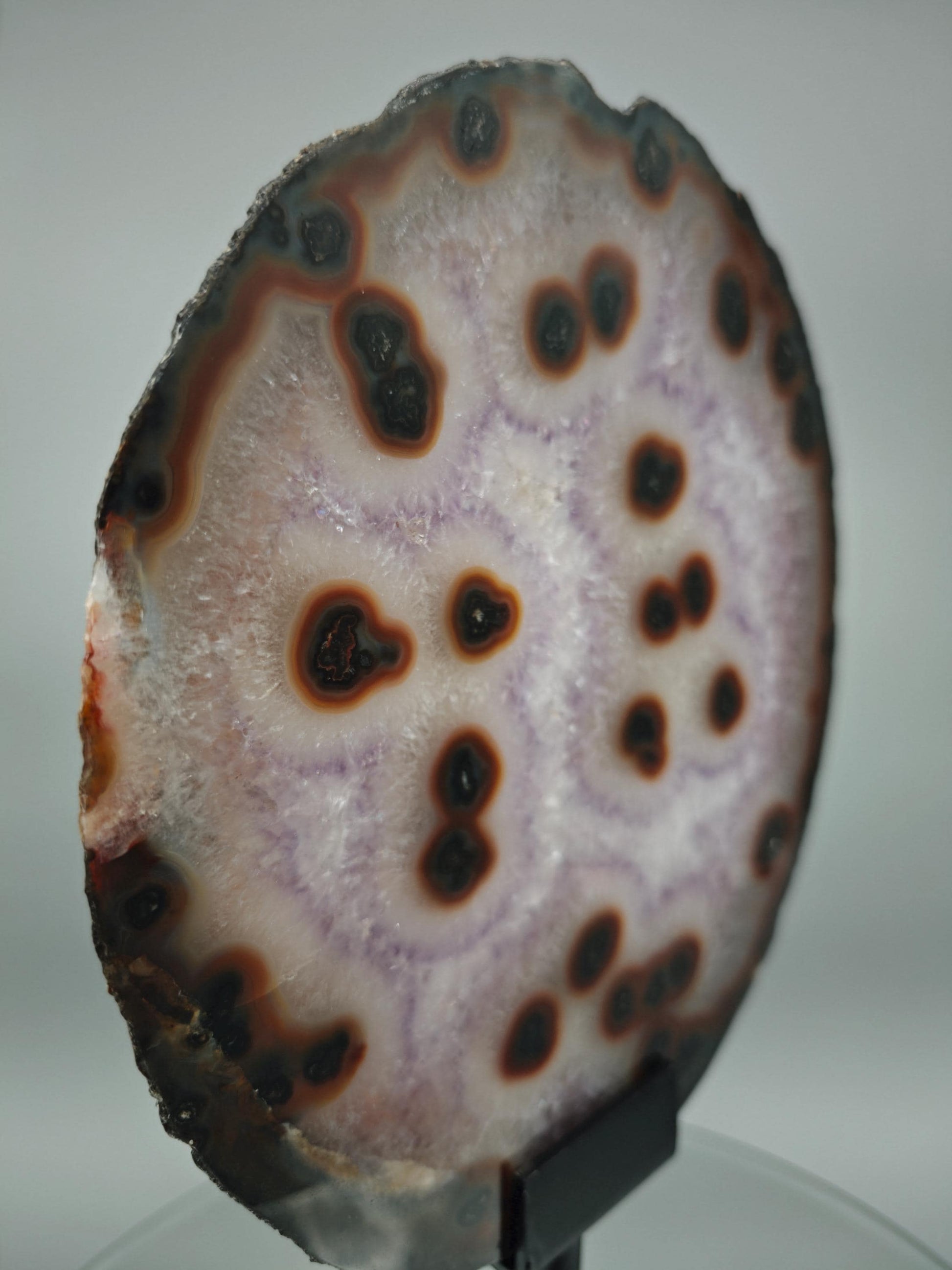 Rare Amethyst with Agate Slice & Stalactite Eyes - Backlit Brazilian Crystal Specimen - Unique Clear Formation - One of a Kind Crystal Hoarder