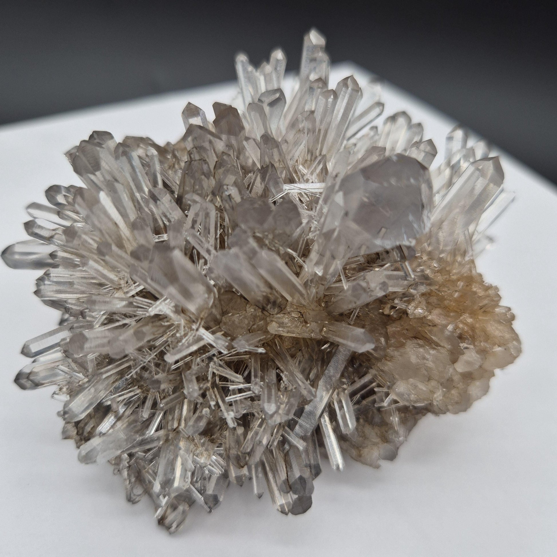 Rare AAA+ Temple Heart Starburst DOW Chrysanthemum Lemurian Quartz Cluster | Bolivar Mine Colombia | 1.28 lbs Crystal Hoarder