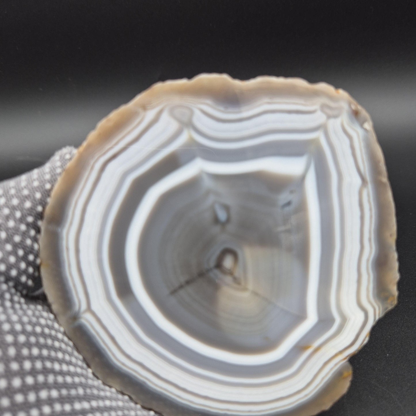 AAA+ Blue Banded Agate Geode from Uruguay 1.43 lbs Crystal Hoarder Crystal Hoarder