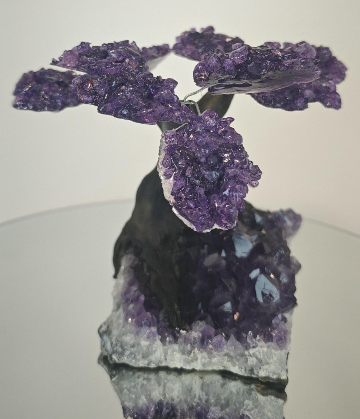 High Quality Grape Jelly Amethyst Tree on Cluster -  Product of Uruguay Crystal Hoarder