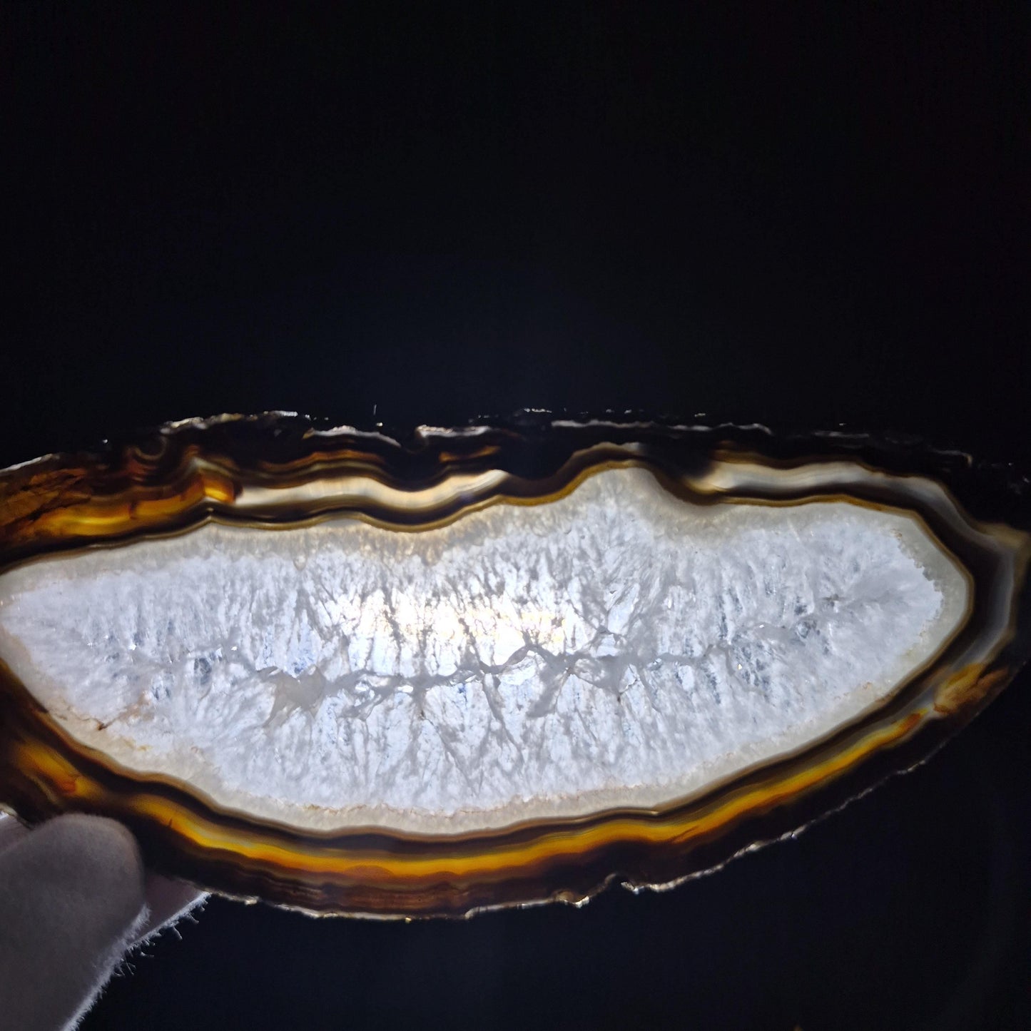 Set of 3 Agate Slices with Quartz | 4.5-6in Natural Crystal Slices | 0.55 lbs Total | Polished Banded Agate Decor Crystal Hoarder