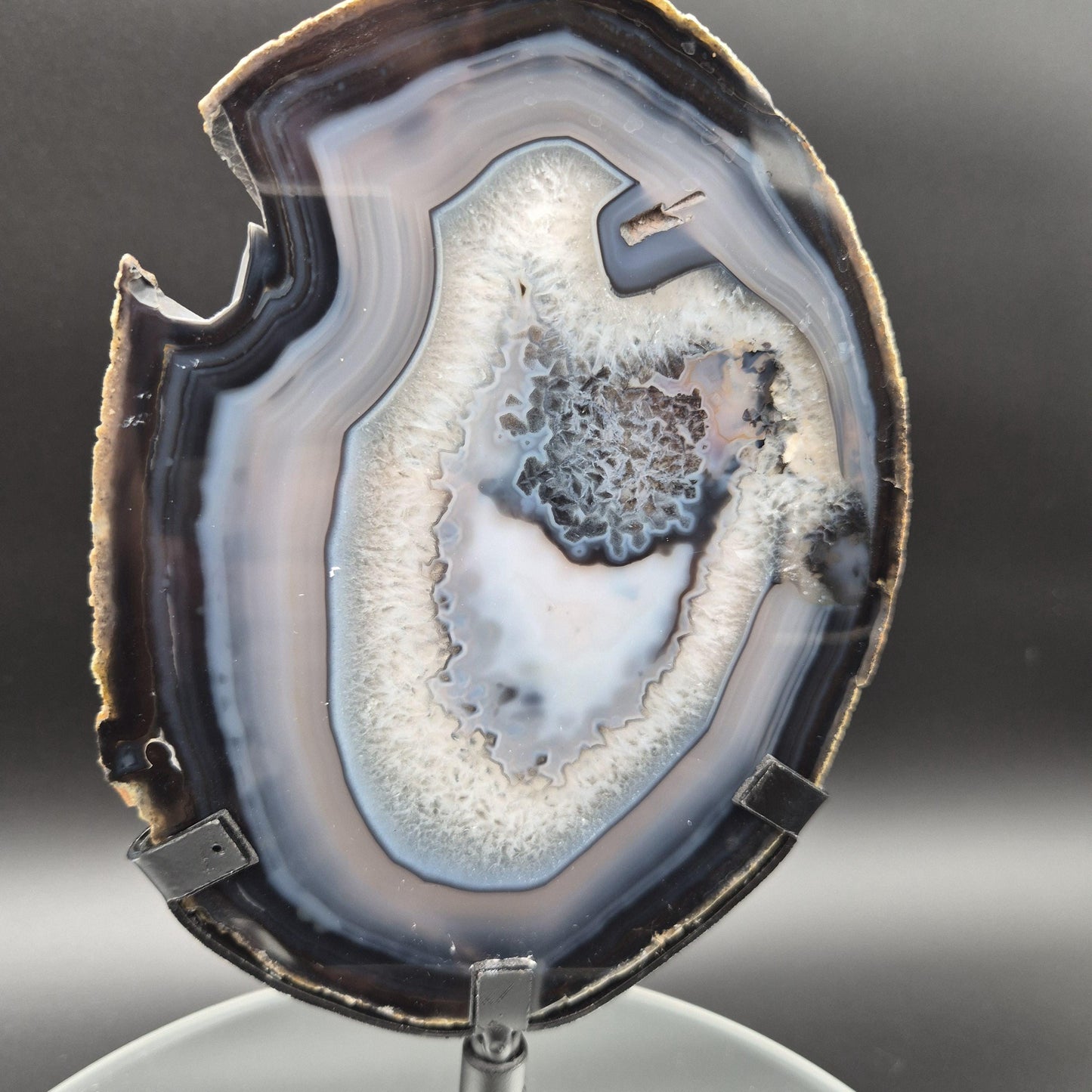 AAA+ Rare Natural Black Agate with Quartz Slice Brazil 1.16 lbs Crystal Hoarder