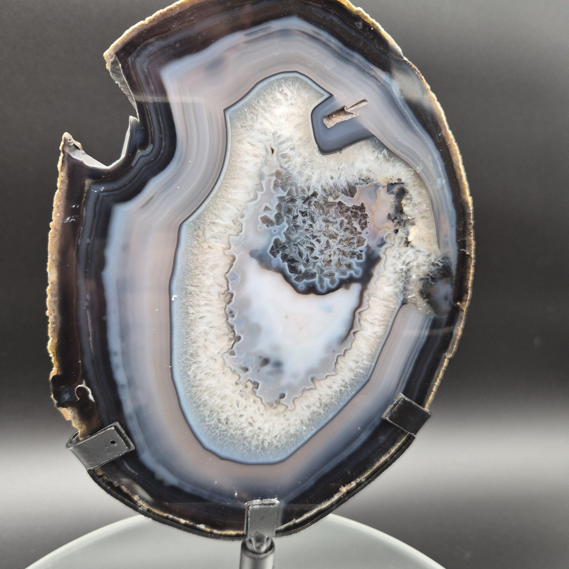 AAA+ Rare Natural Black Agate with Quartz Slice Brazil 1.16 lbs Crystal Hoarder