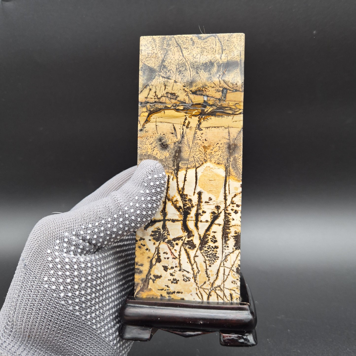 AAA+ Picture Jasper on Wood Base | Natural Scenic Stone Display | 3.37 lbs Crystal Hoarder
