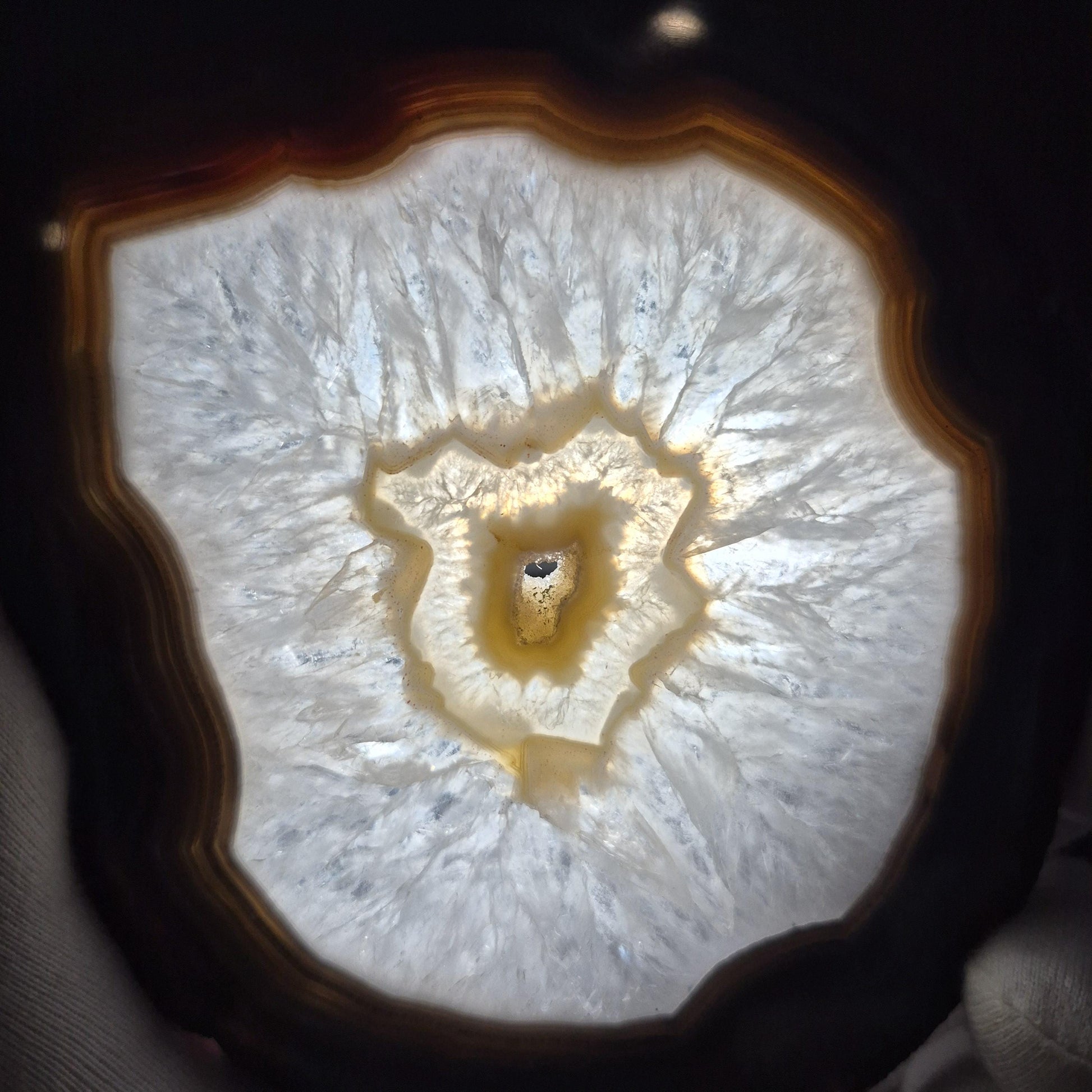 AAA+ Rare Agate Slice Set of 7 | 3.5-5in Large Quartz Crystal Centers | 2.44 lbs Natural Banded Agate | Collector Grade Statement Pieces Crystal Hoarder
