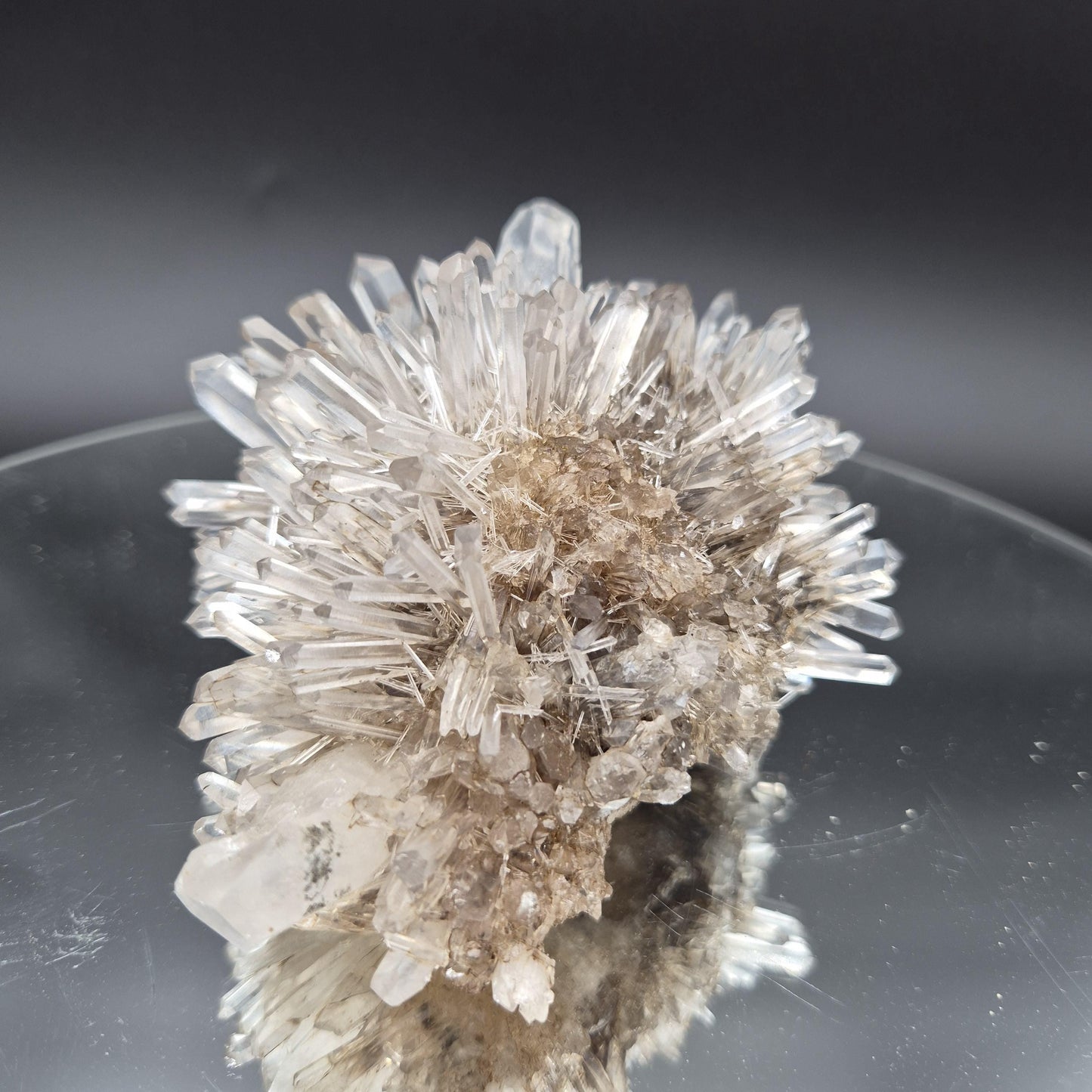 Rare AAA+ Temple Heart Starburst DOW Chrysanthemum Lemurian Quartz Cluster | Bolivar Mine Colombia | 1.28 lbs Crystal Hoarder
