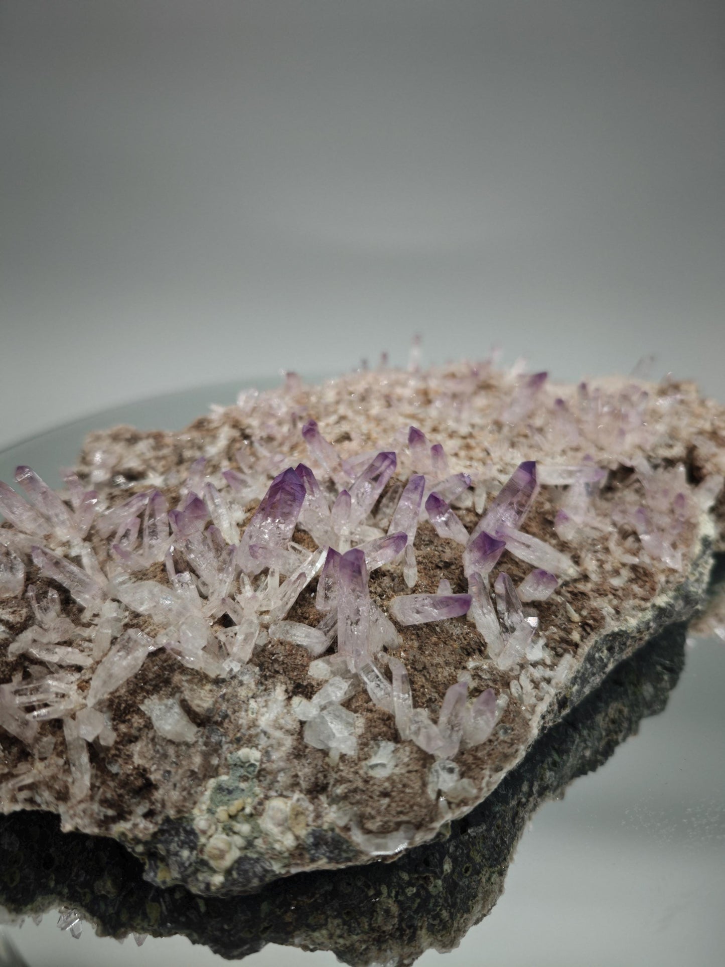 Museum Quality Veracruz Amethyst Cluster | Hundreds of Perfect Points | Veracruz Mexico | Collector Specimen Crystal Hoarder