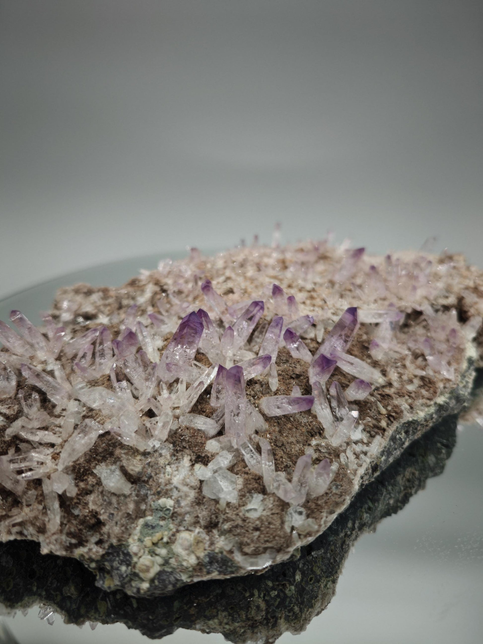 Museum Quality Veracruz Amethyst Cluster | Hundreds of Perfect Points | Veracruz Mexico | Collector Specimen Crystal Hoarder