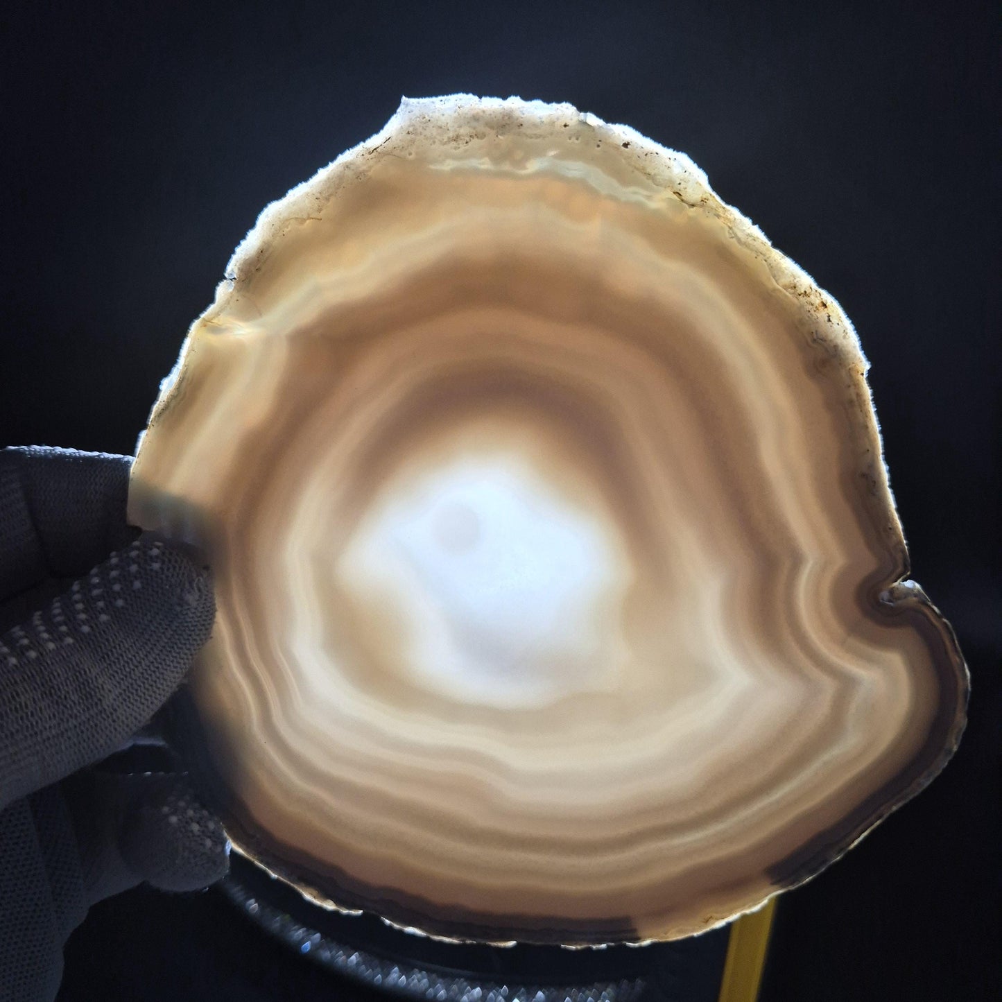 Natural Agate Slices - Set of 3 | 5.5in & 6in Large Translucent Quartz | Polished Crystal Decor | 1.33 lbs Crystal Hoarder