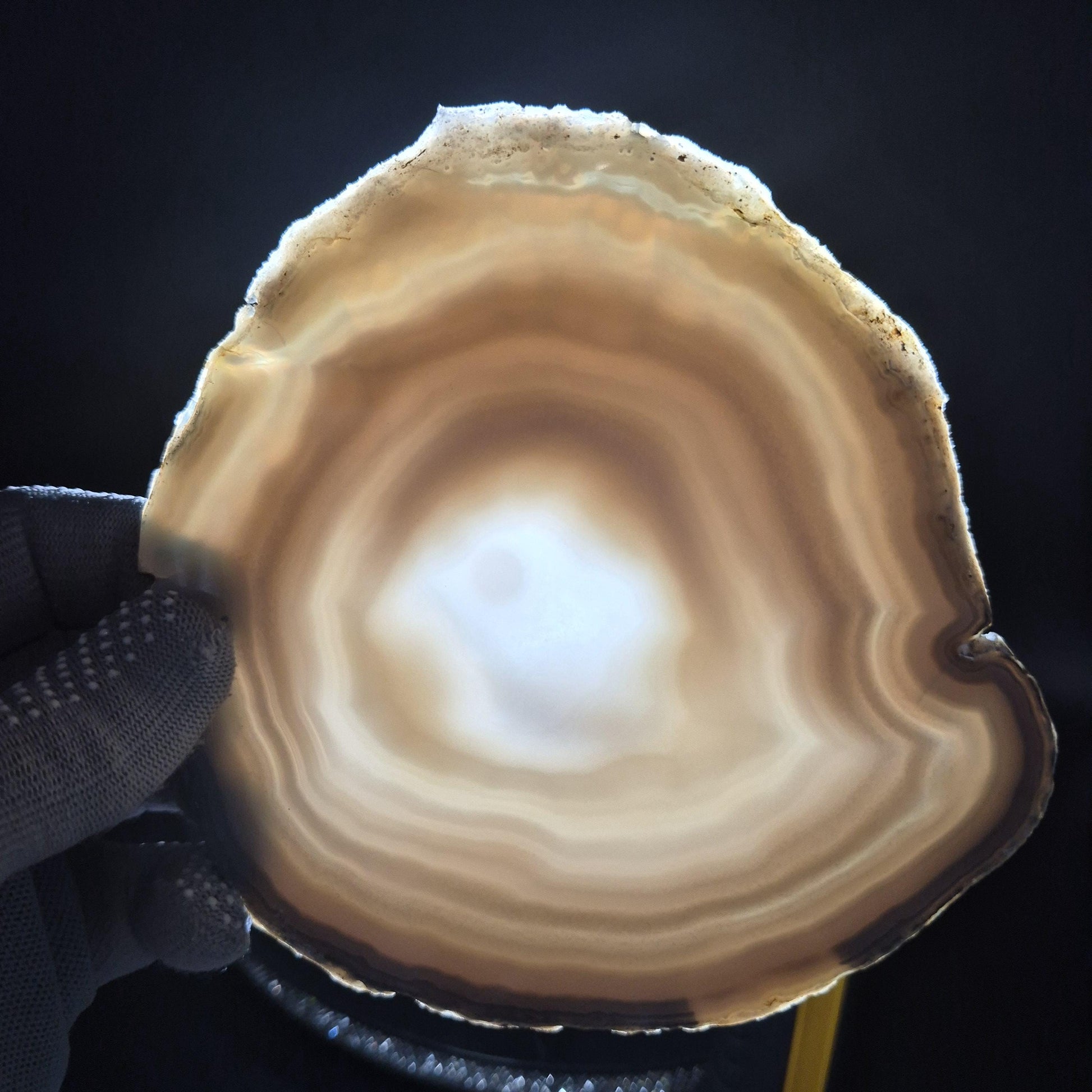 Natural Agate Slices - Set of 3 | 5.5in & 6in Large Translucent Quartz | Polished Crystal Decor | 1.33 lbs Crystal Hoarder