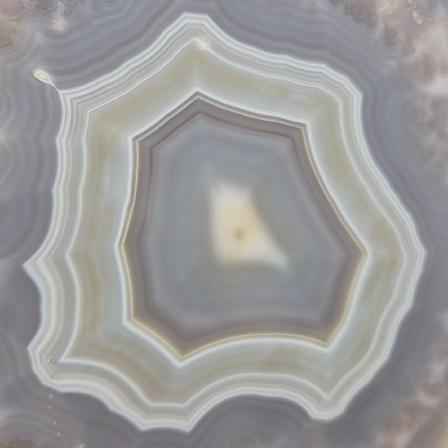 Blue Banded Agate Slice from Brazil - Can be Backlit! Crystal Hoarder