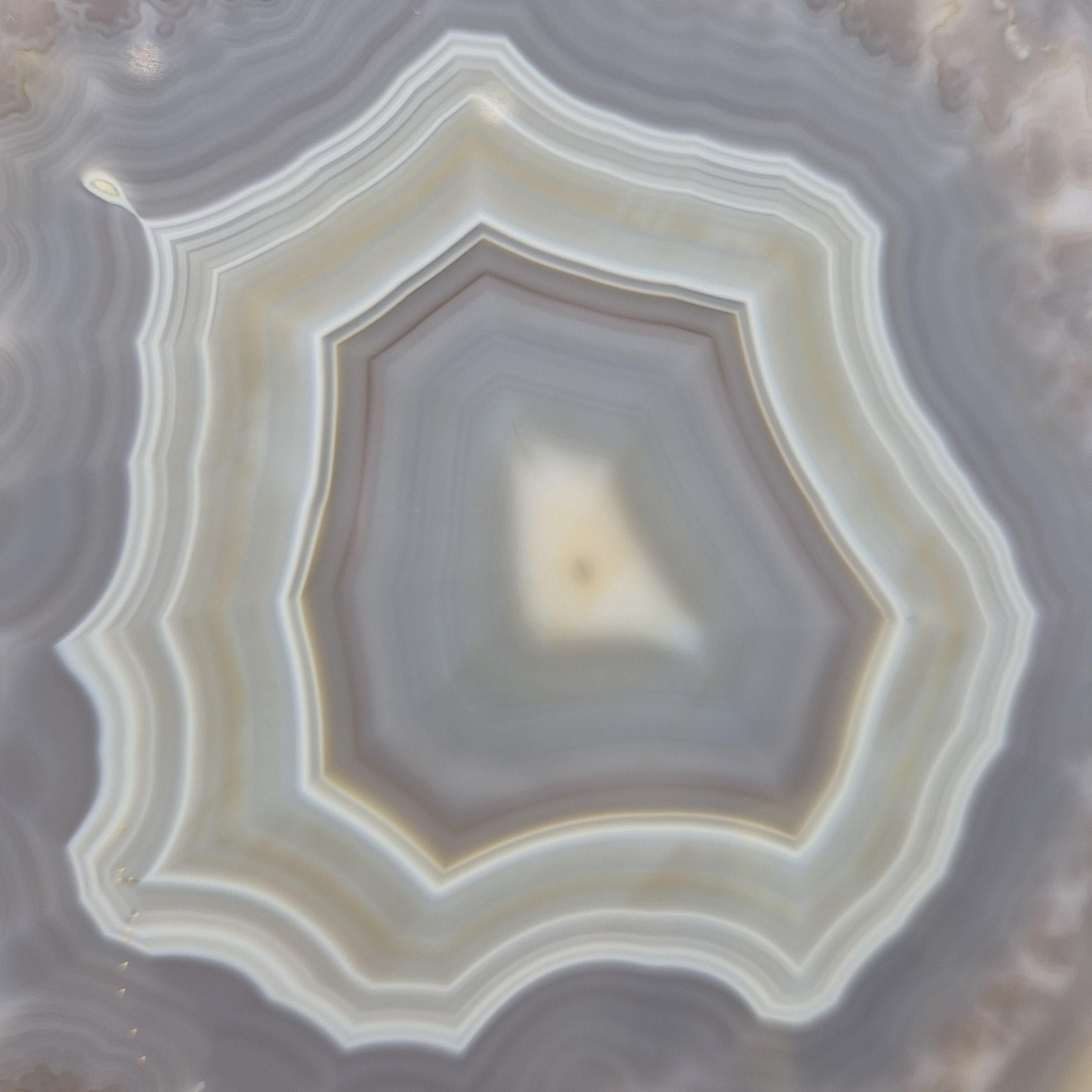 Blue Banded Agate Slice from Brazil - Can be Backlit! Crystal Hoarder