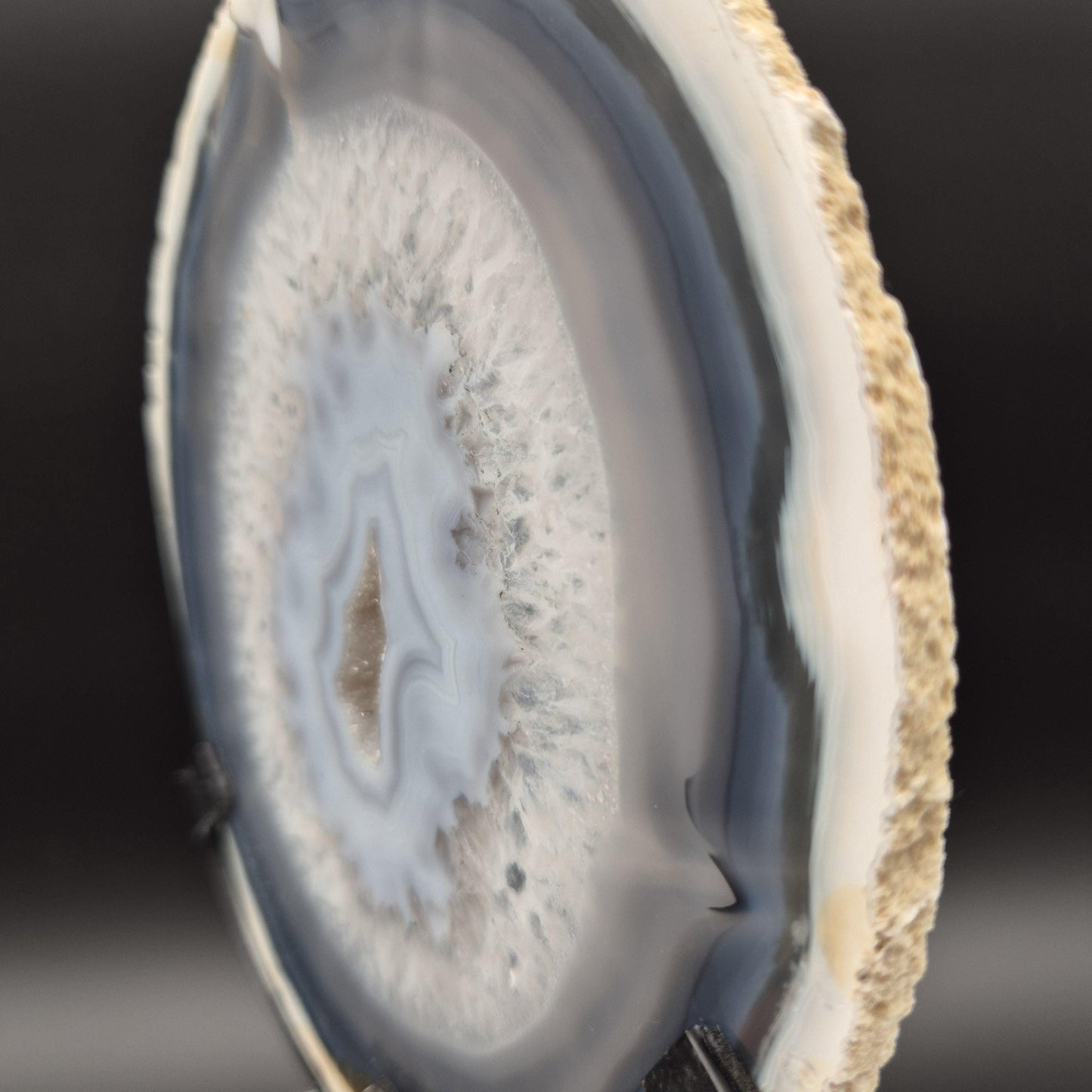 AAA+ Super Rare White and Dark Blue Agate with Druzy Quartz on Stand Brazil Crystal Hoarder