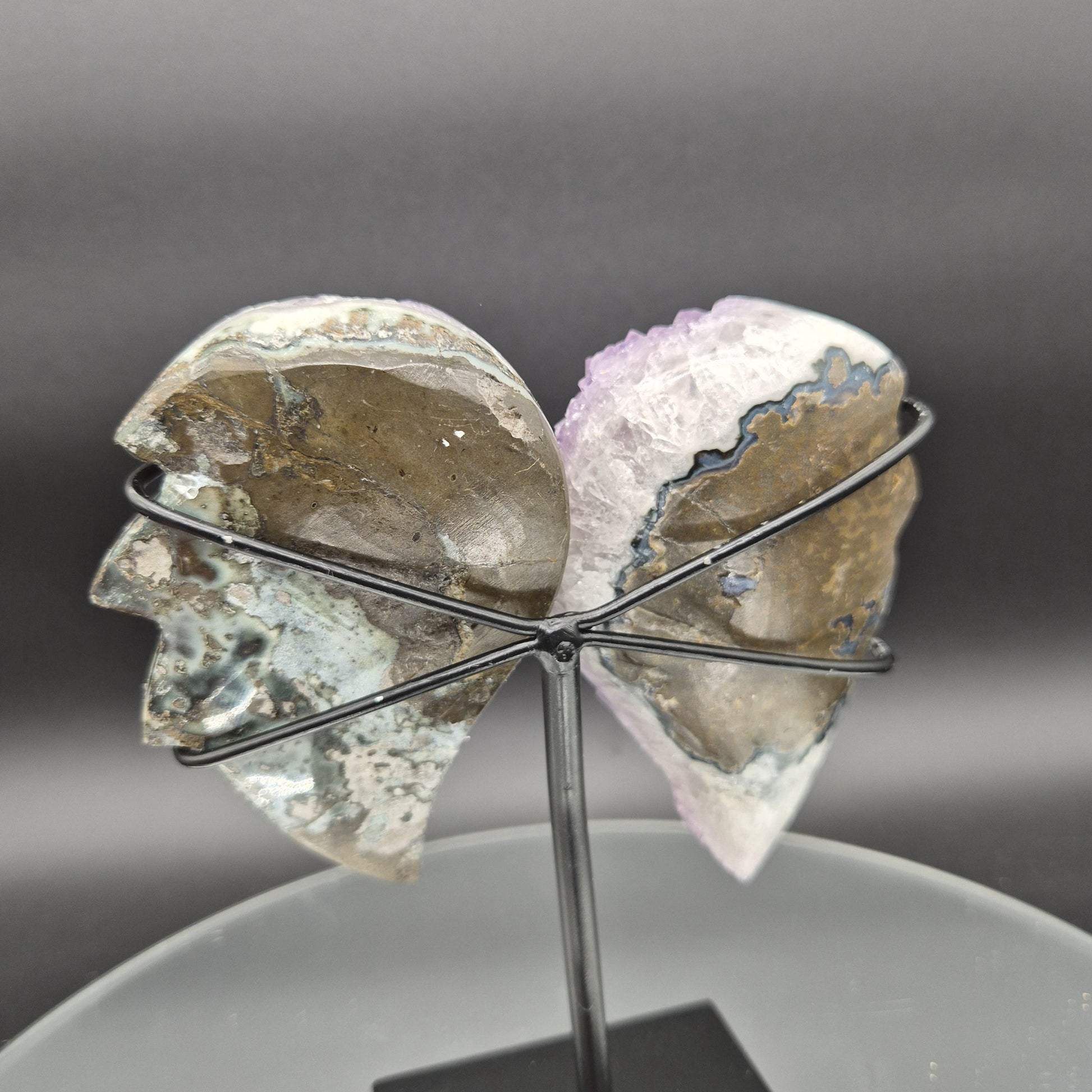 AAA+ Amethyst Angel Wings Brazil 7x6x2 1.92 lbs Crystal Hoarder