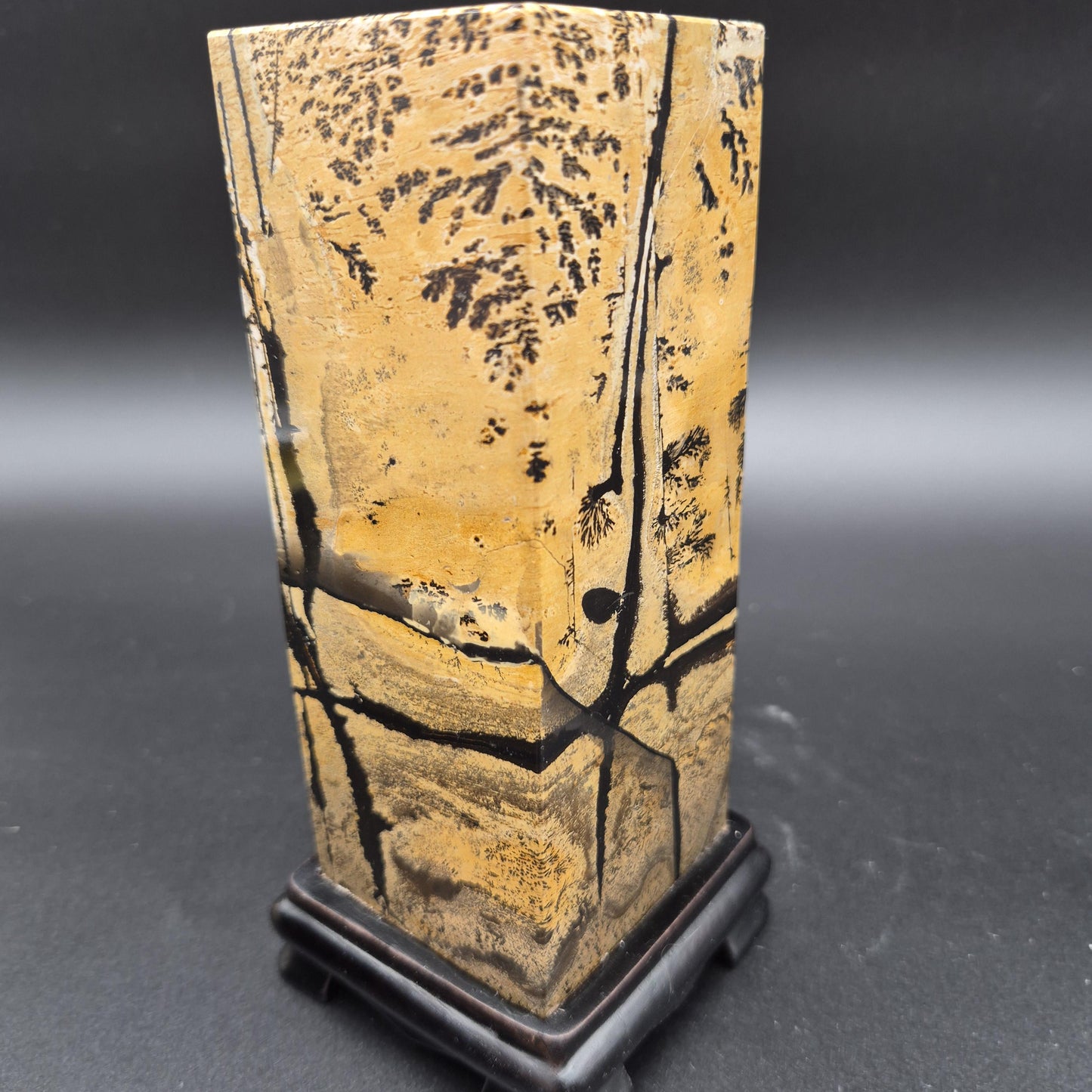 AAA+ Picture Jasper on Wood Base | Natural Scenic Stone Display | 3.16 lbs Crystal Hoarder