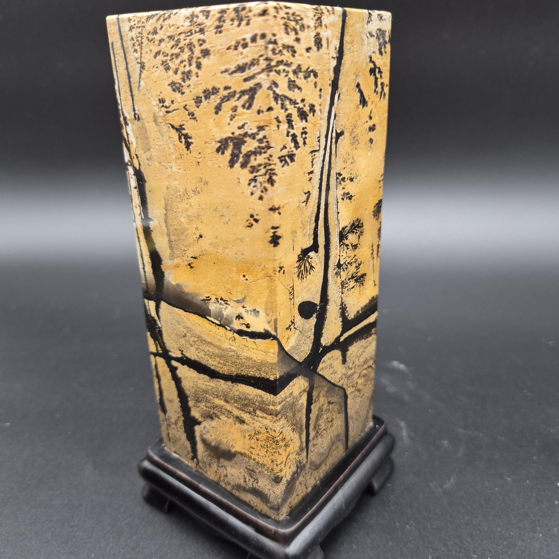 AAA+ Picture Jasper on Wood Base | Natural Scenic Stone Display | 3.16 lbs Crystal Hoarder