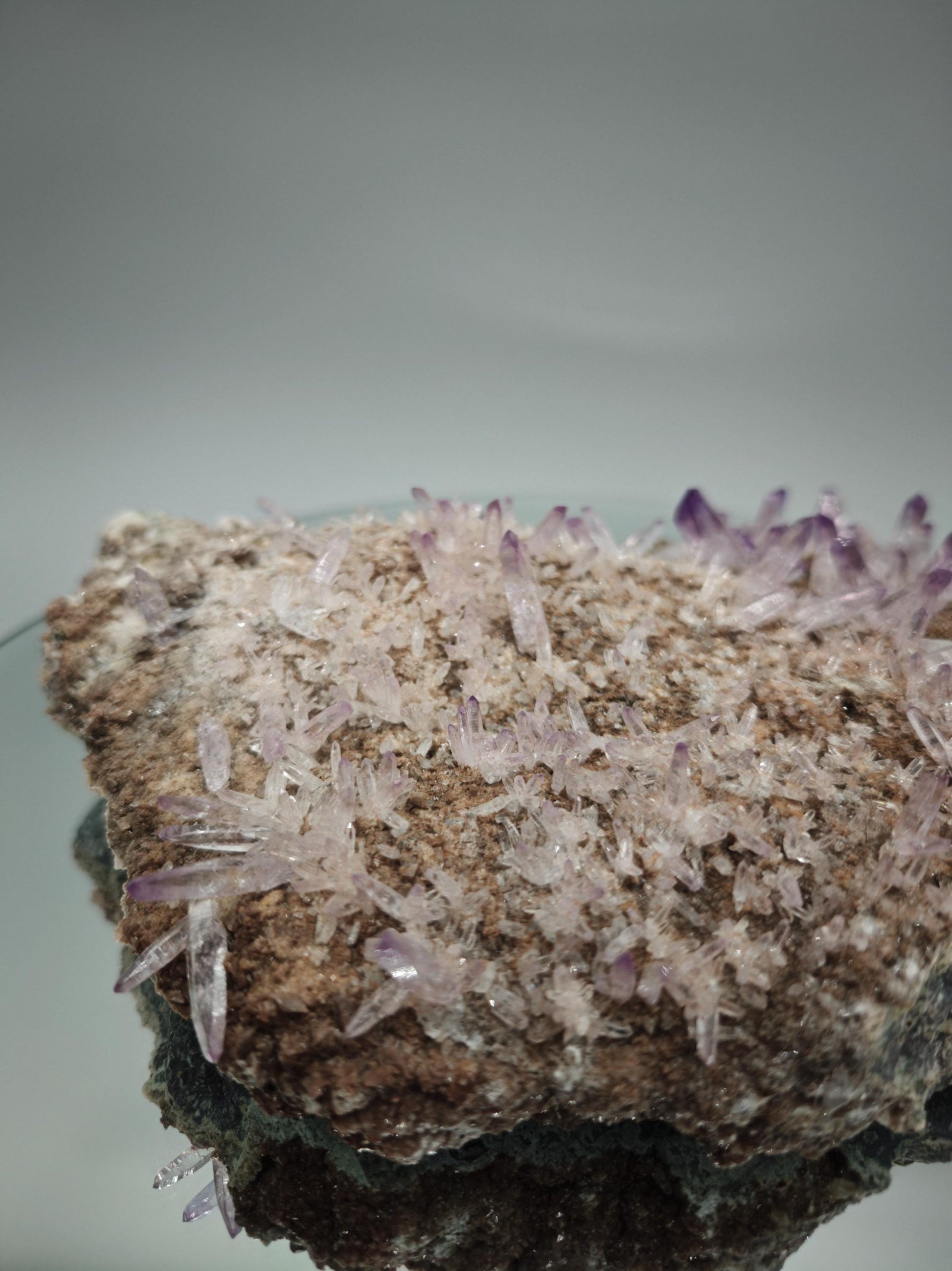 Museum Quality Veracruz Amethyst Cluster | Hundreds of Perfect Points | Veracruz Mexico | Collector Specimen Crystal Hoarder