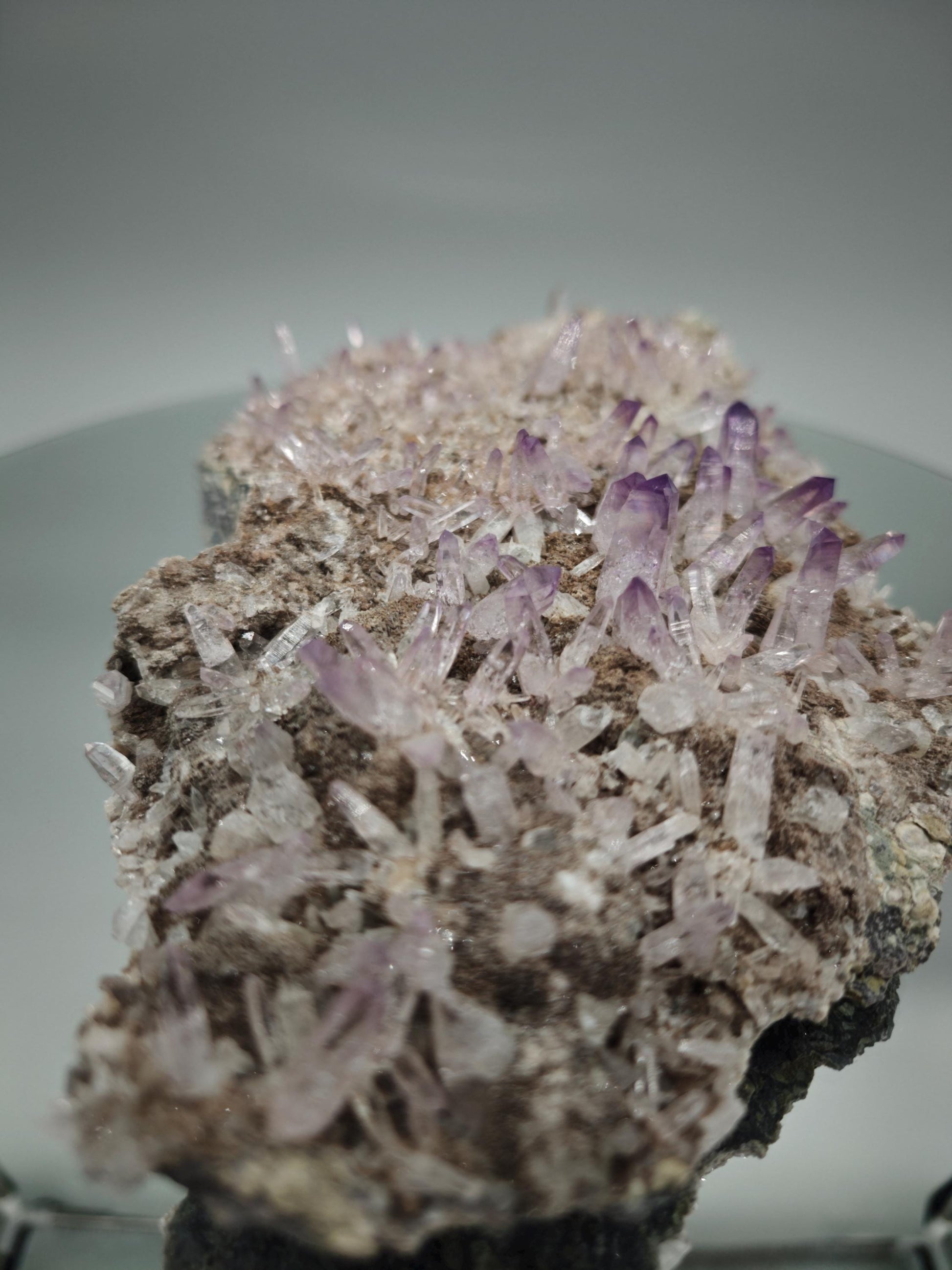 Museum Quality Veracruz Amethyst Cluster | Hundreds of Perfect Points | Veracruz Mexico | Collector Specimen Crystal Hoarder