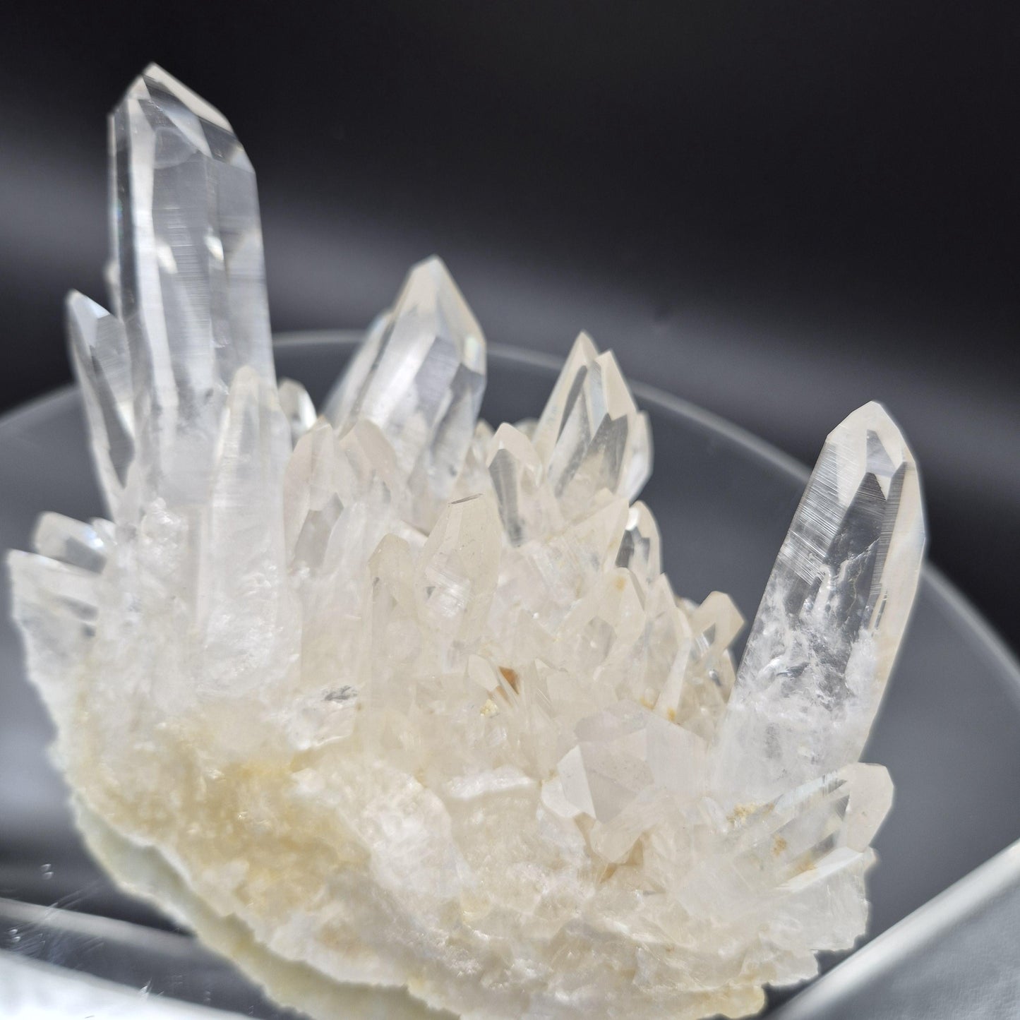 Museum Grade AAA+ Golden Healer Water Clear Lemurian Quartz Cluster 7x4x4 2.91 lbs Colombia Crystal Hoarder