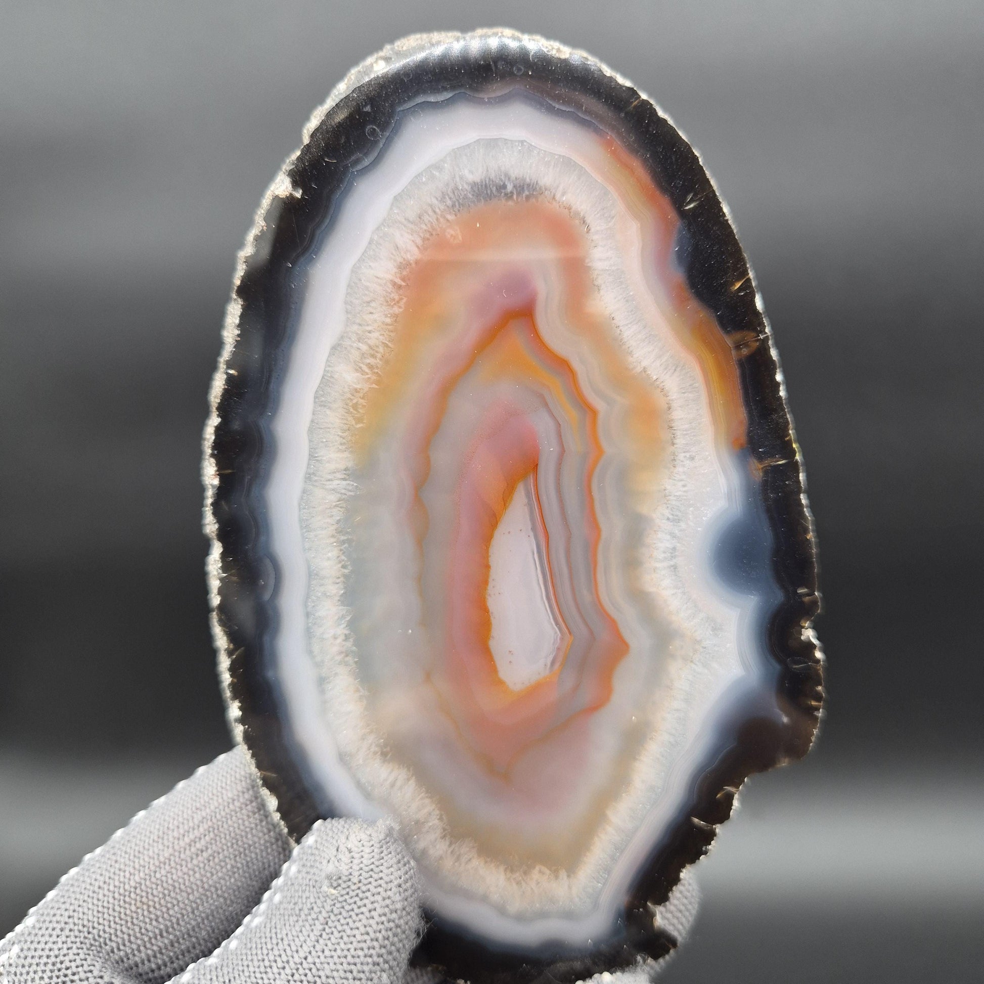 AAA Translucent Agate Slices with Carnelian - Set of 3 | 4.5in–5.5in Natural Druzy Quartz | 0.61 lbs Crystal Hoarder