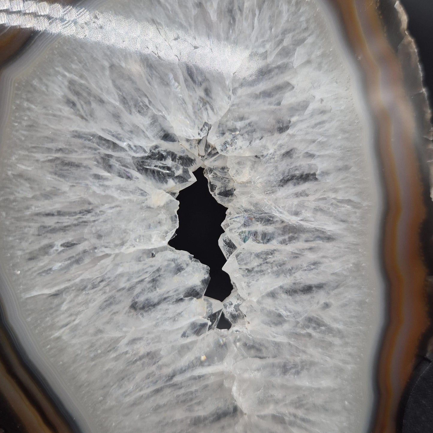 AAA+ Butterfly Agate Slice Wings with Water-Clear Quartz Points - Brazil - Natural Crystal Display - 9in x 8in - 1.09 lb Statement Specimen Crystal Hoarder