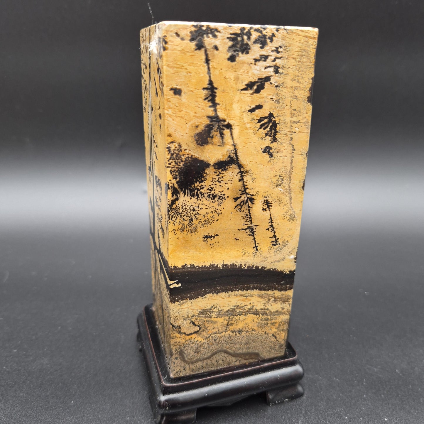 AAA+ Picture Jasper on Wood Base | Natural Scenic Stone Display | 3.16 lbs Crystal Hoarder