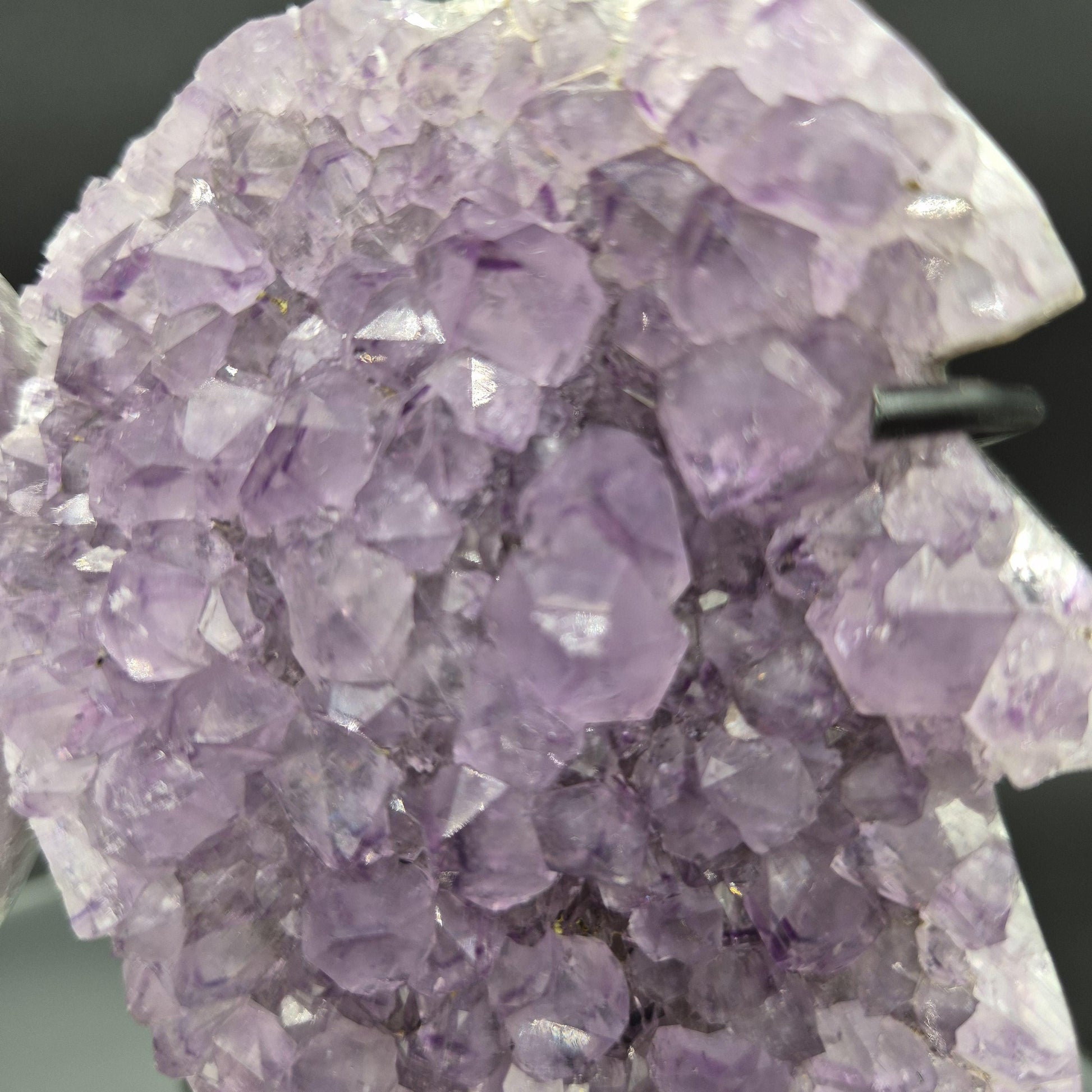AAA+ Amethyst Angel Wings Brazil 7x6x2 1.92 lbs Crystal Hoarder