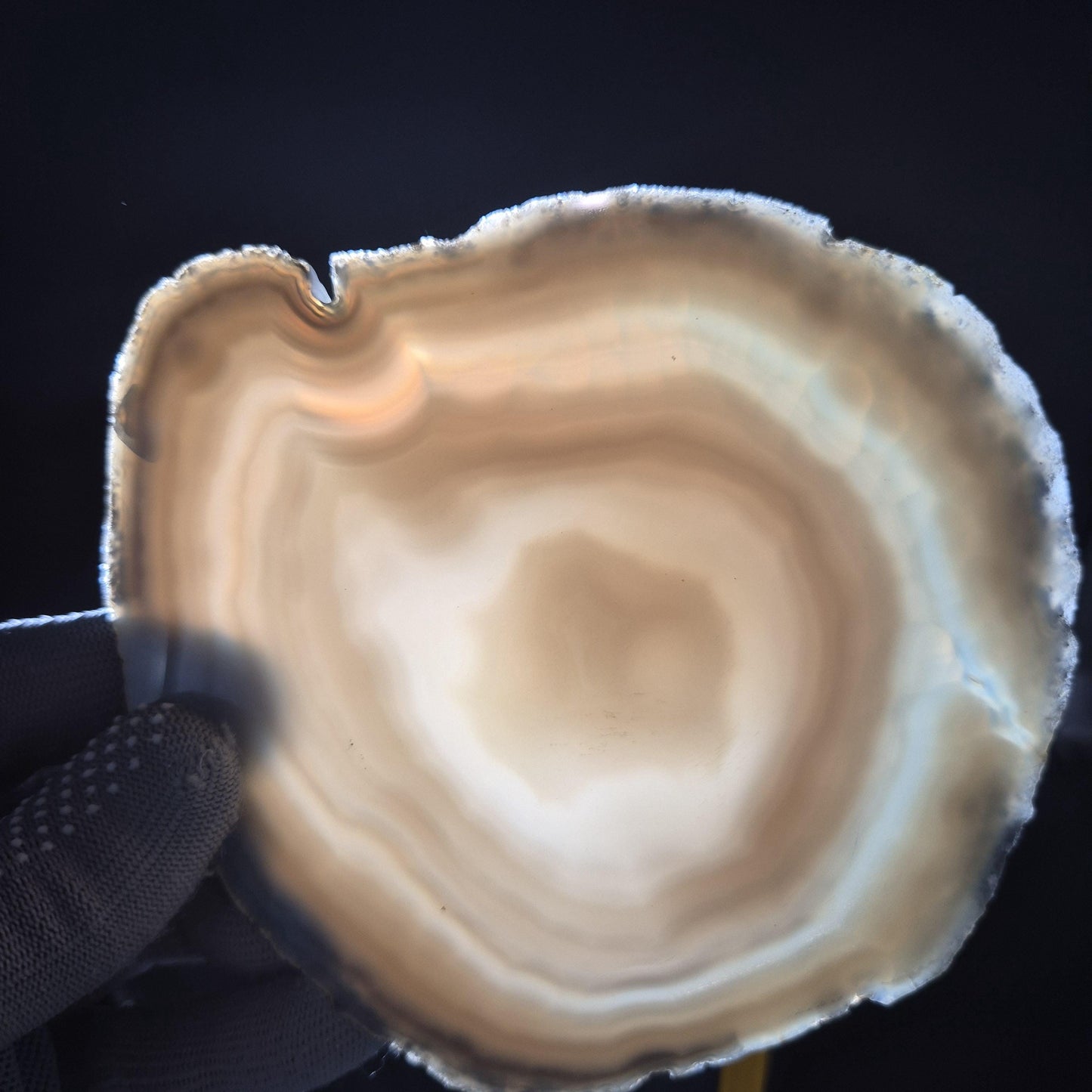 Natural Agate Slices - Set of 3 | 5.5in & 6in Large Translucent Quartz | Polished Crystal Decor | 1.33 lbs Crystal Hoarder
