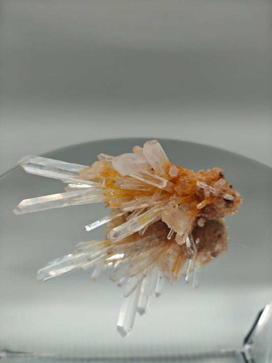 AAA+ Blue Smoke Golden Healer Lemurian Needle Cluster - Milton Mine, Colombia - 5 x 5in - 13.1 oz - Rare Crystal Specimen Crystal Hoarder