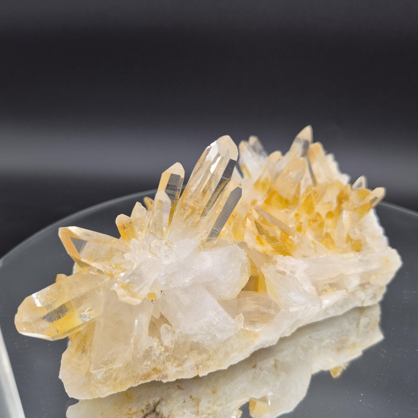 AAA+ Museum Grade Lemurian Golden Healer Quartz Cluster - Colombia | Water Clear Points | 8.5 x 4.5in | 2.55 lbs Crystal Hoarder