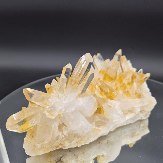 AAA+ Museum Grade Lemurian Golden Healer Quartz Cluster - Colombia | Water Clear Points | 8.5 x 4.5in | 2.55 lbs Crystal Hoarder