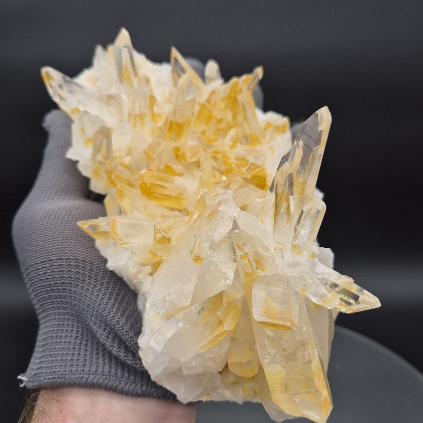AAA+ Museum Grade Lemurian Golden Healer Quartz Cluster - Colombia | Water Clear Points | 8.5 x 4.5in | 2.55 lbs Crystal Hoarder