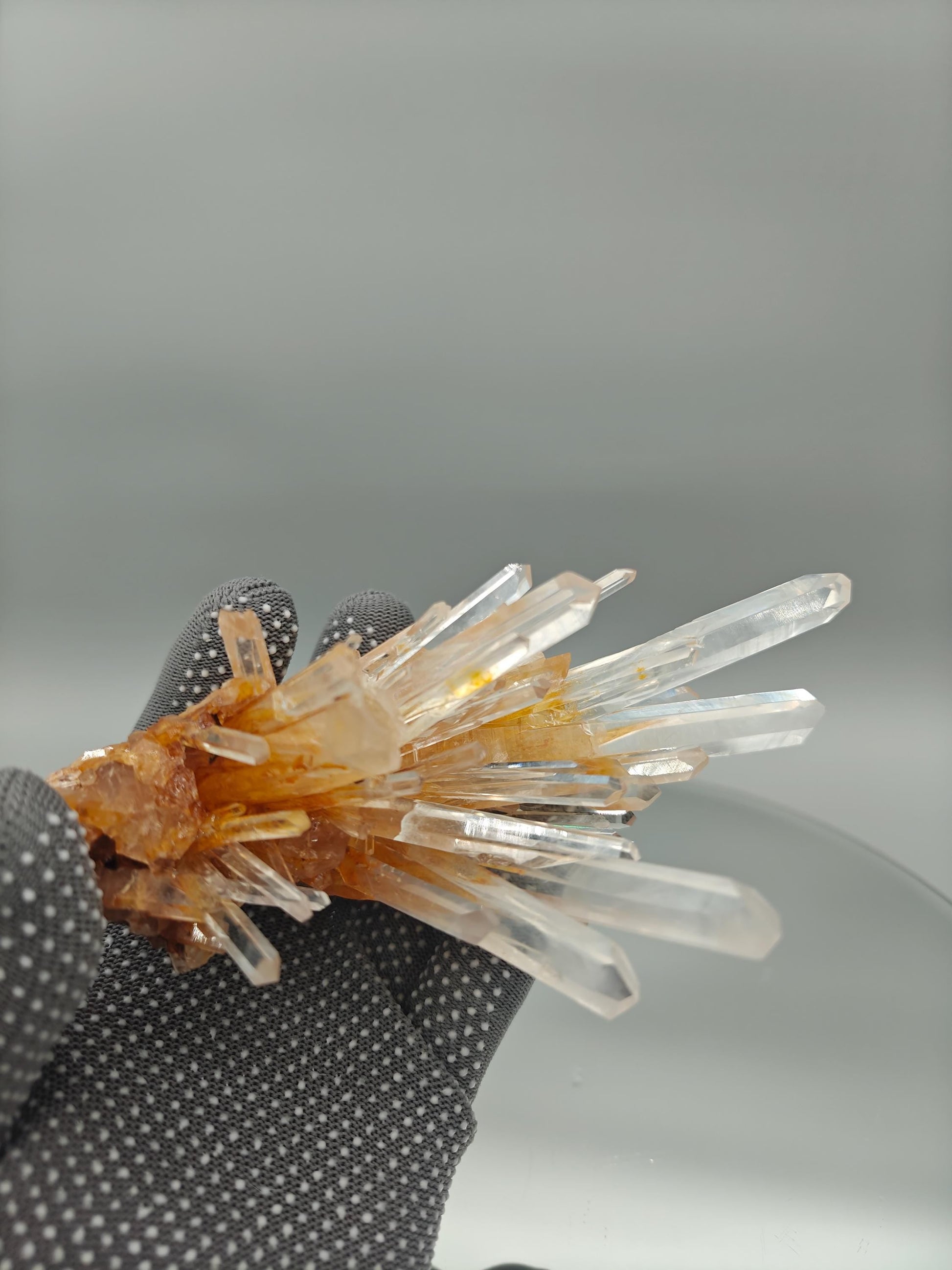 AAA+ Blue Smoke Golden Healer Lemurian Needle Cluster - Milton Mine, Colombia - 5 x 5in - 13.1 oz - Rare Crystal Specimen Crystal Hoarder