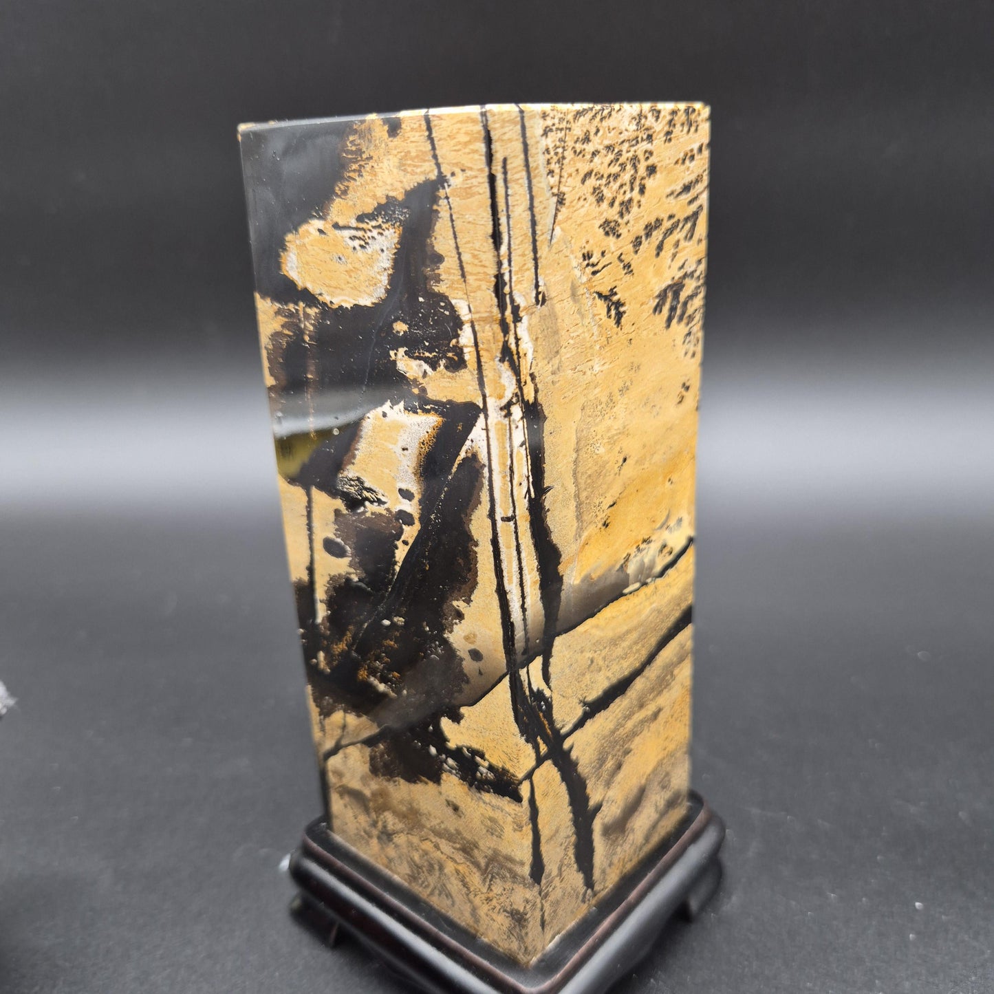 AAA+ Picture Jasper on Wood Base | Natural Scenic Stone Display | 3.16 lbs Crystal Hoarder