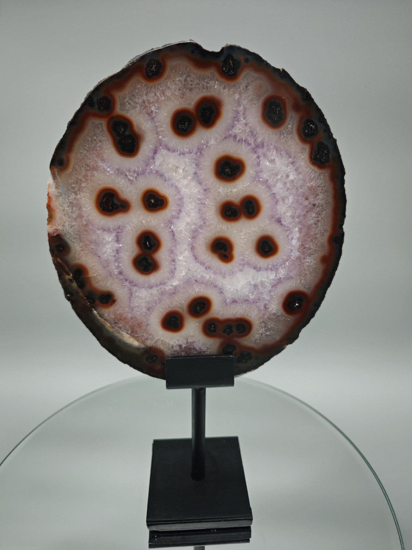 Rare Amethyst with Agate Slice & Stalactite Eyes - Backlit Brazilian Crystal Specimen - Unique Clear Formation - One of a Kind Crystal Hoarder