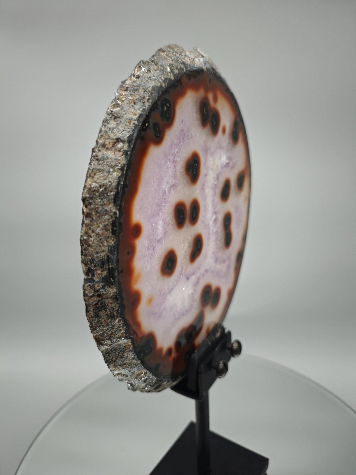 Rare Amethyst with Agate Slice & Stalactite Eyes - Backlit Brazilian Crystal Specimen - Unique Clear Formation - One of a Kind Crystal Hoarder
