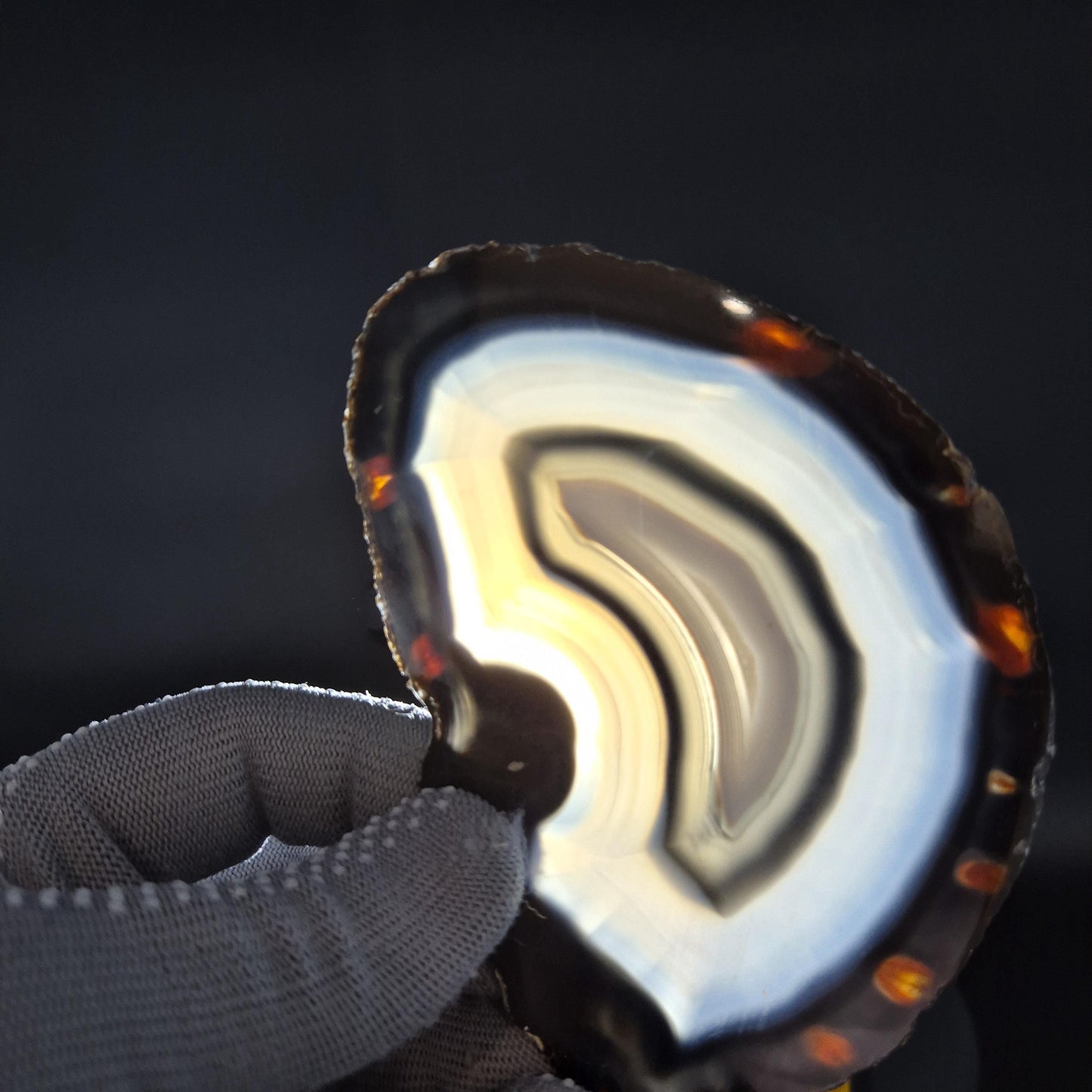 AAA Translucent Agate Slices with Druzy - Set of 3 | 5in x 3in Natural Crystal Decor | 0.73 lbs Crystal Hoarder