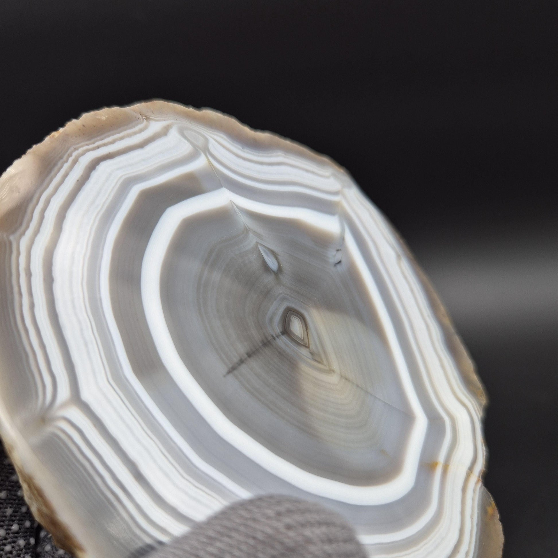 AAA+ Blue Banded Agate Geode from Uruguay 1.43 lbs Crystal Hoarder Crystal Hoarder