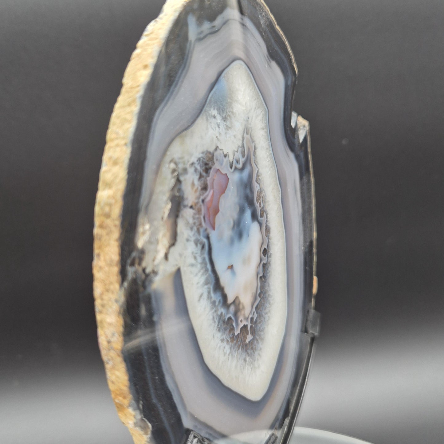 AAA+ Rare Natural Black Agate with Quartz Slice Brazil 1.16 lbs Crystal Hoarder