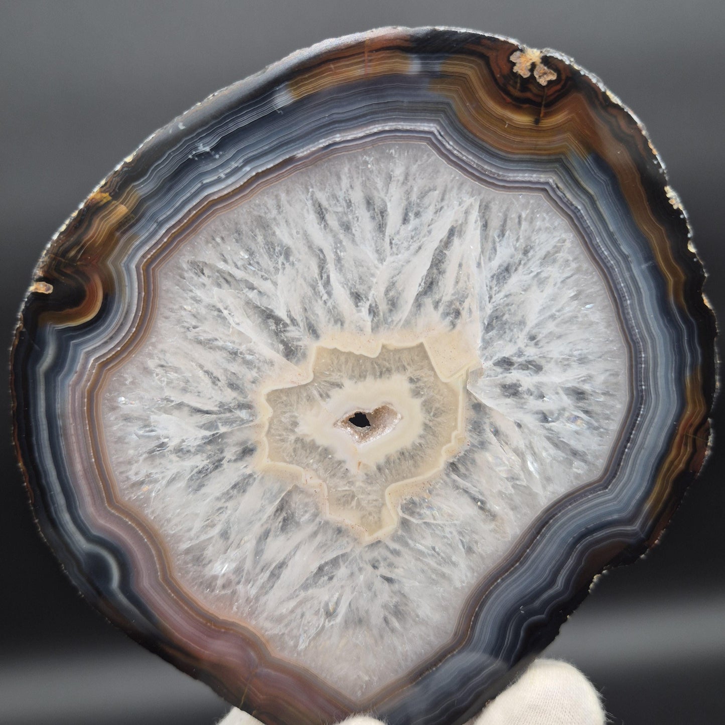AAA+ Rare Agate Slice Set of 7 | 3.5-5in Large Quartz Crystal Centers | 2.44 lbs Natural Banded Agate | Collector Grade Statement Pieces Crystal Hoarder