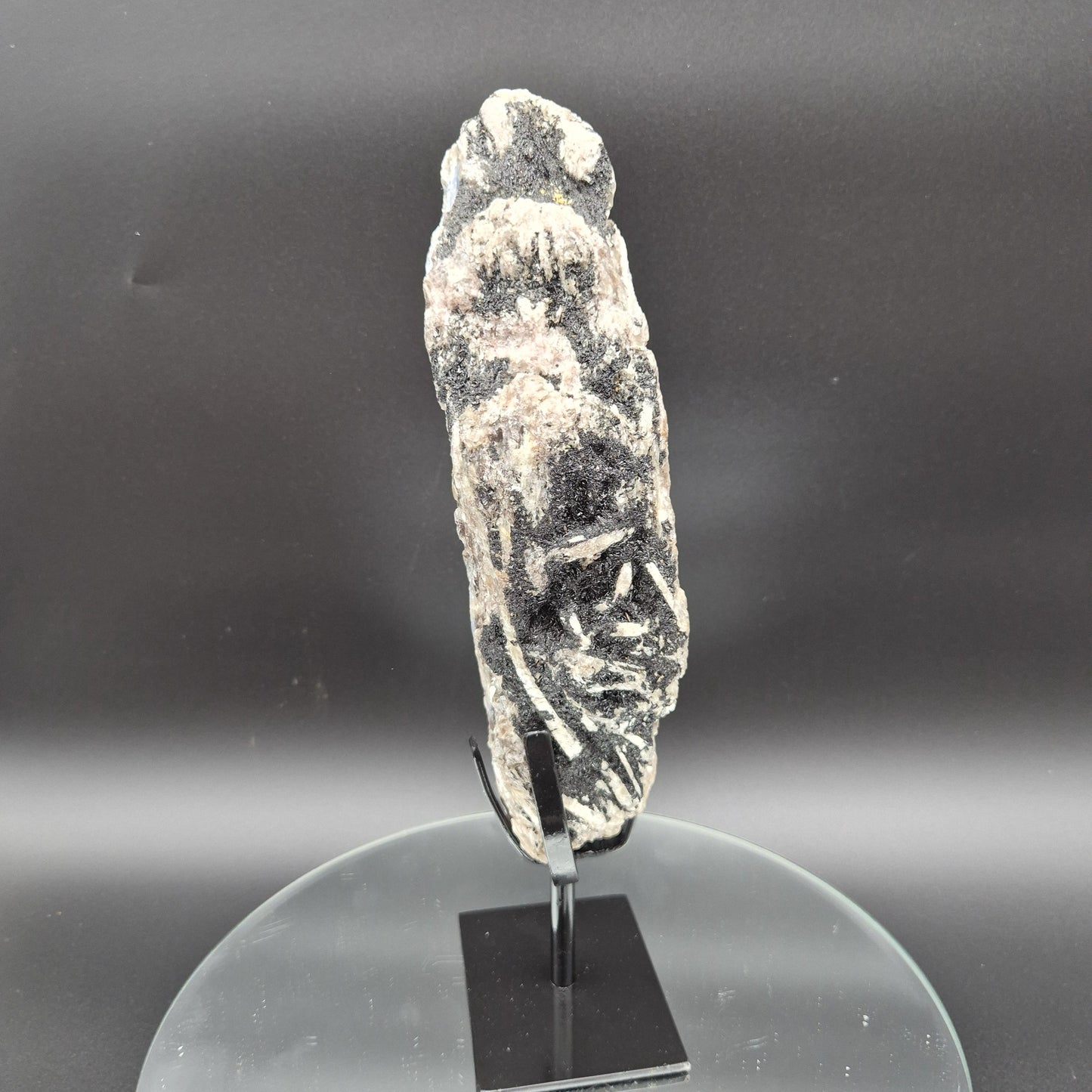 Super Rare Museum Quality Blue Kyanite with Black Hematite & Mica | Brazilian Mineral Specimen | 5 lbs Crystal Hoarder
