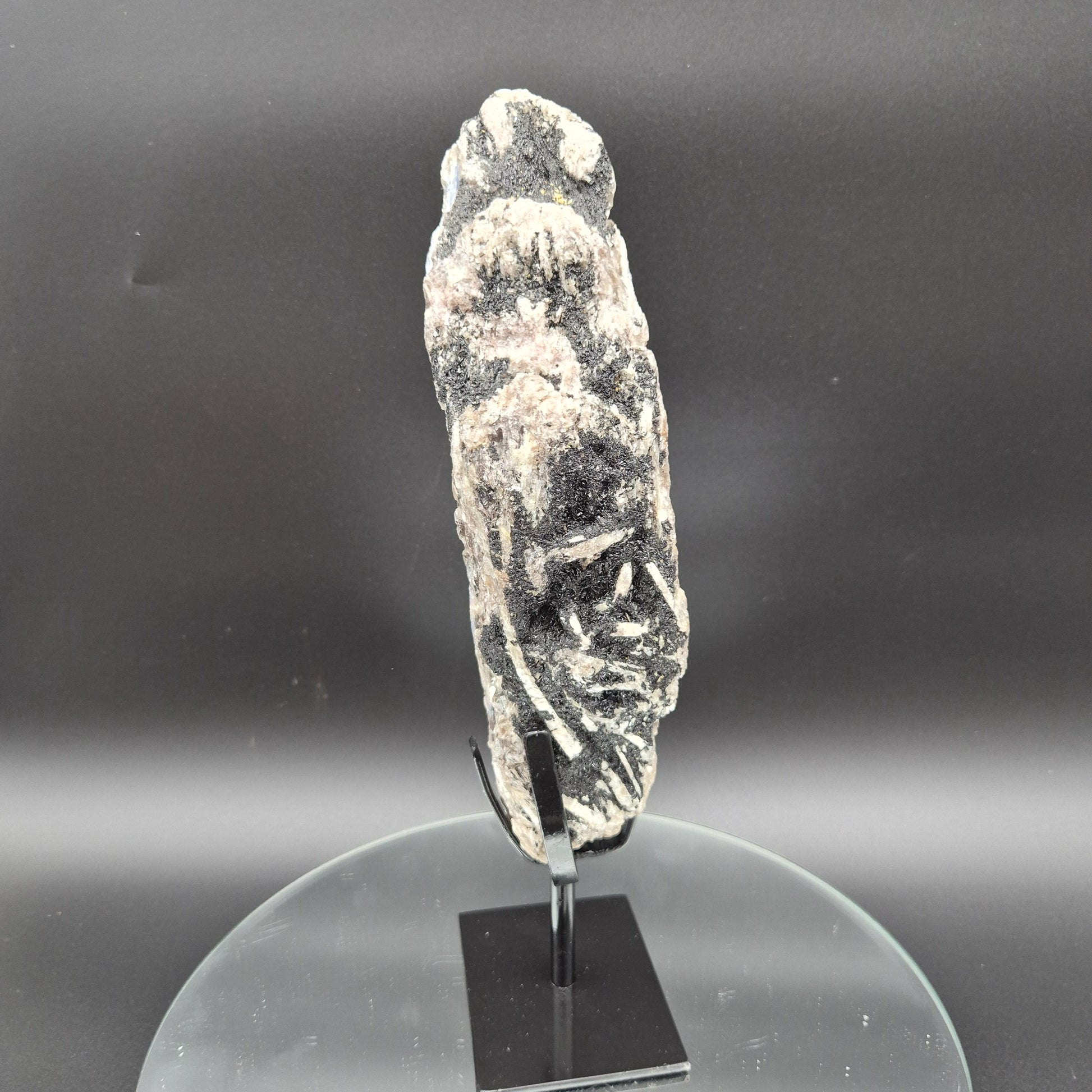 Super Rare Museum Quality Blue Kyanite with Black Hematite & Mica | Brazilian Mineral Specimen | 5 lbs Crystal Hoarder