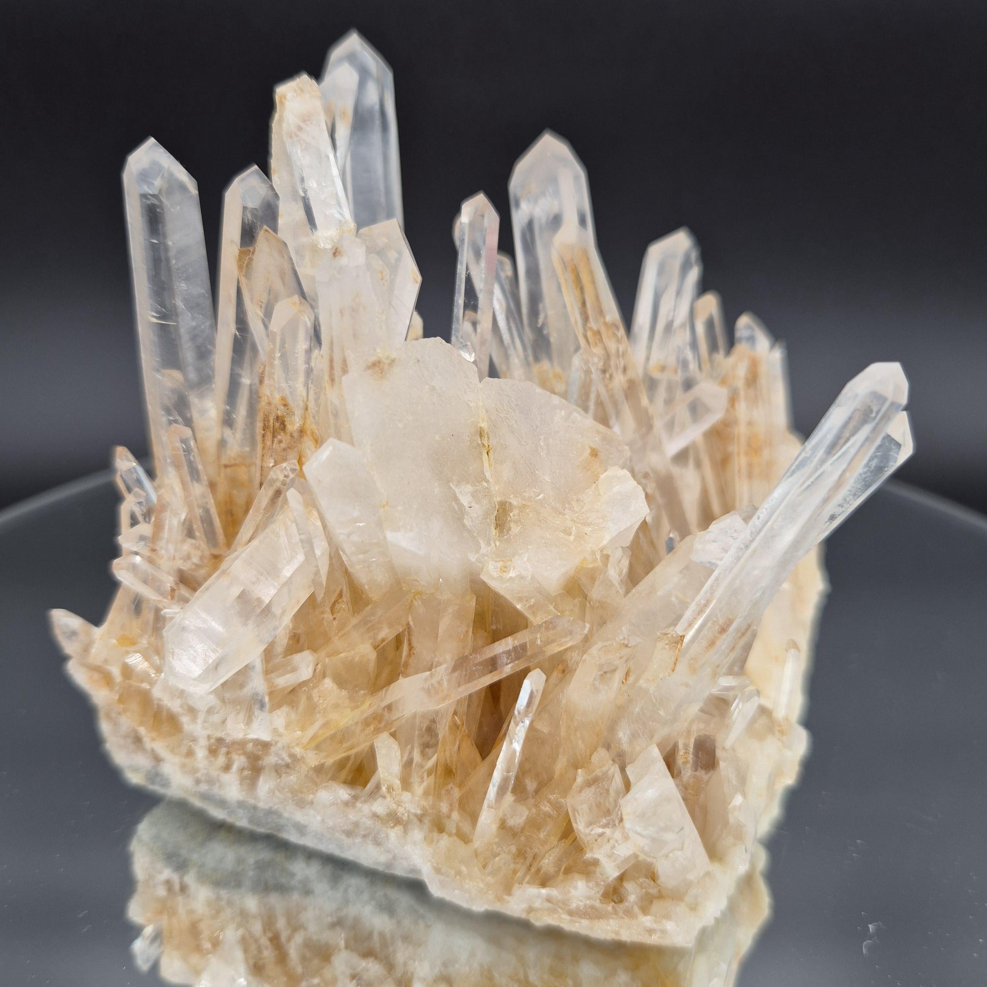 AAA+ Blue Smoke Golden Healer Starburst Lemurian Needle Cluster - Colombia 1.7 lbs, 5 x 4in Crystal Hoarder
