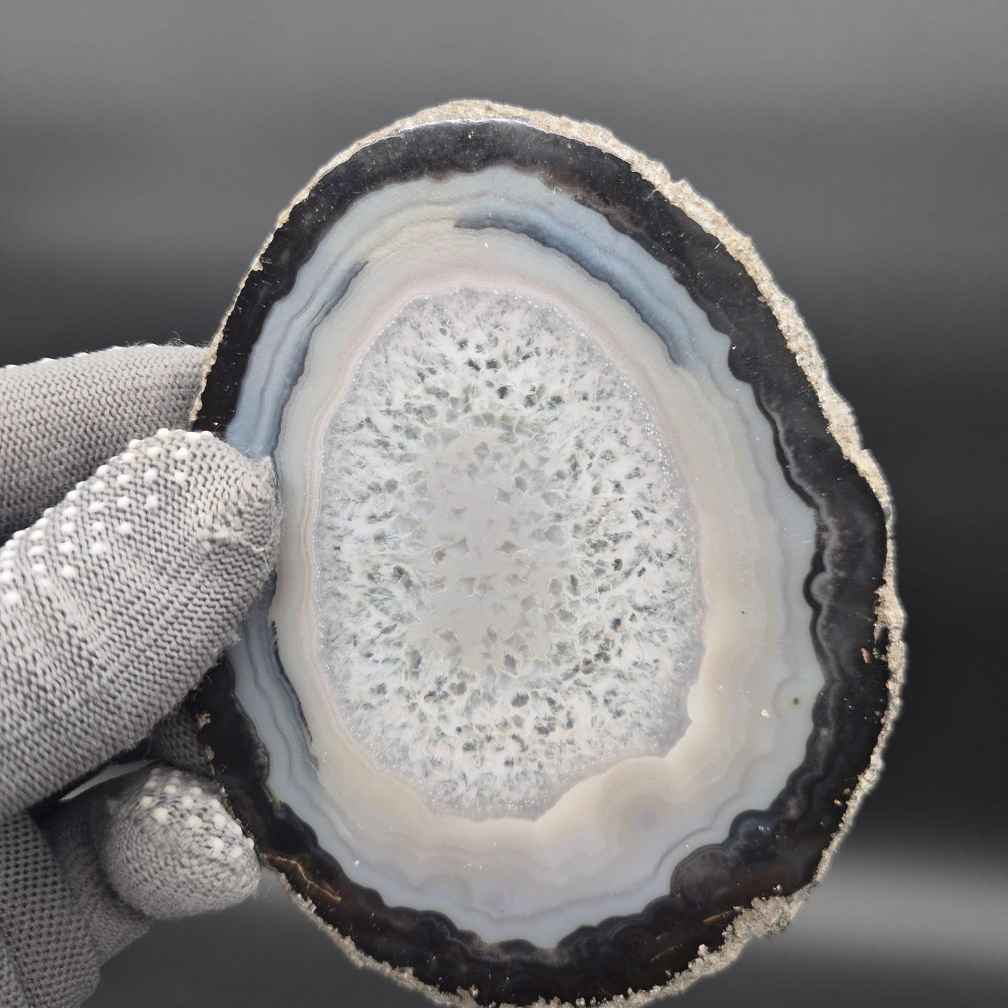 Natural Agate Slices - Set of 3 | 4in, 4.5in, 5in Translucent Quartz | 0.64 lbs | Polished Crystal Decor Crystal Hoarder