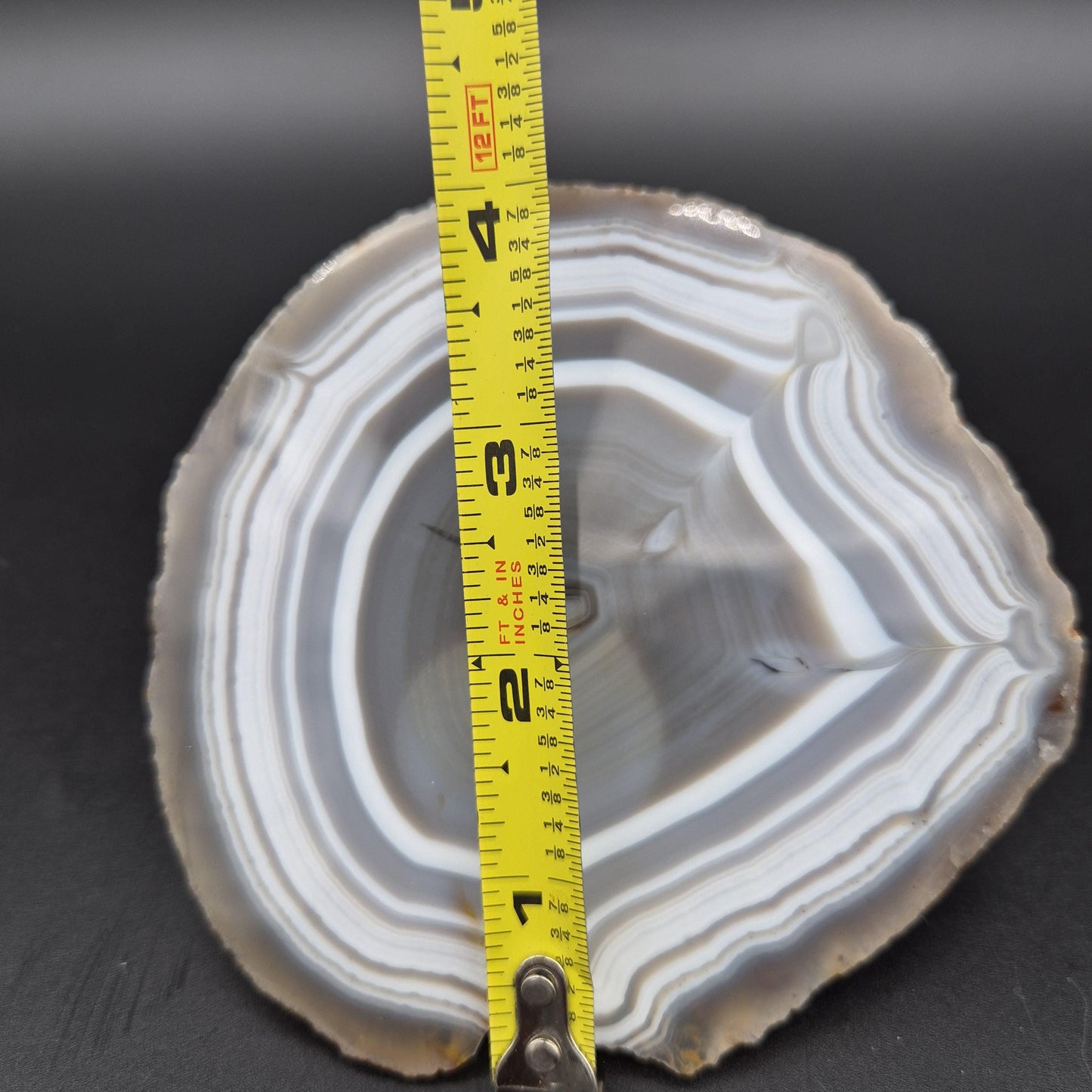 AAA+ Blue Banded Agate Geode from Uruguay 1.43 lbs Crystal Hoarder Crystal Hoarder
