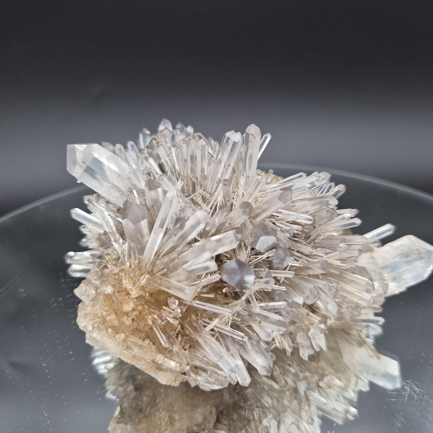 Rare AAA+ Temple Heart Starburst DOW Chrysanthemum Lemurian Quartz Cluster | Bolivar Mine Colombia | 1.28 lbs Crystal Hoarder