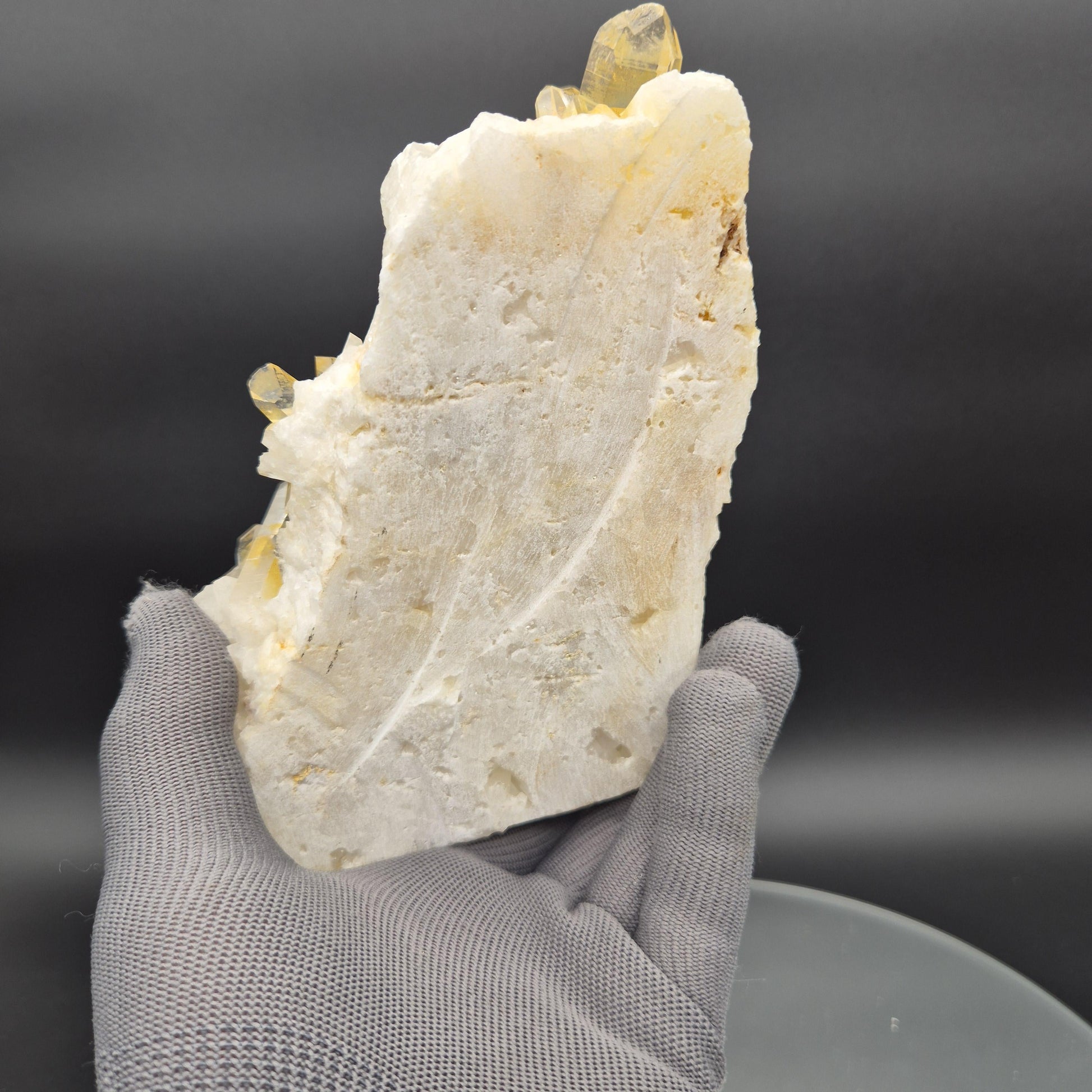AAA+ Museum Grade Lemurian Golden Healer Quartz Cluster - Colombia | Water Clear Points | 8.5 x 4.5in | 2.55 lbs Crystal Hoarder