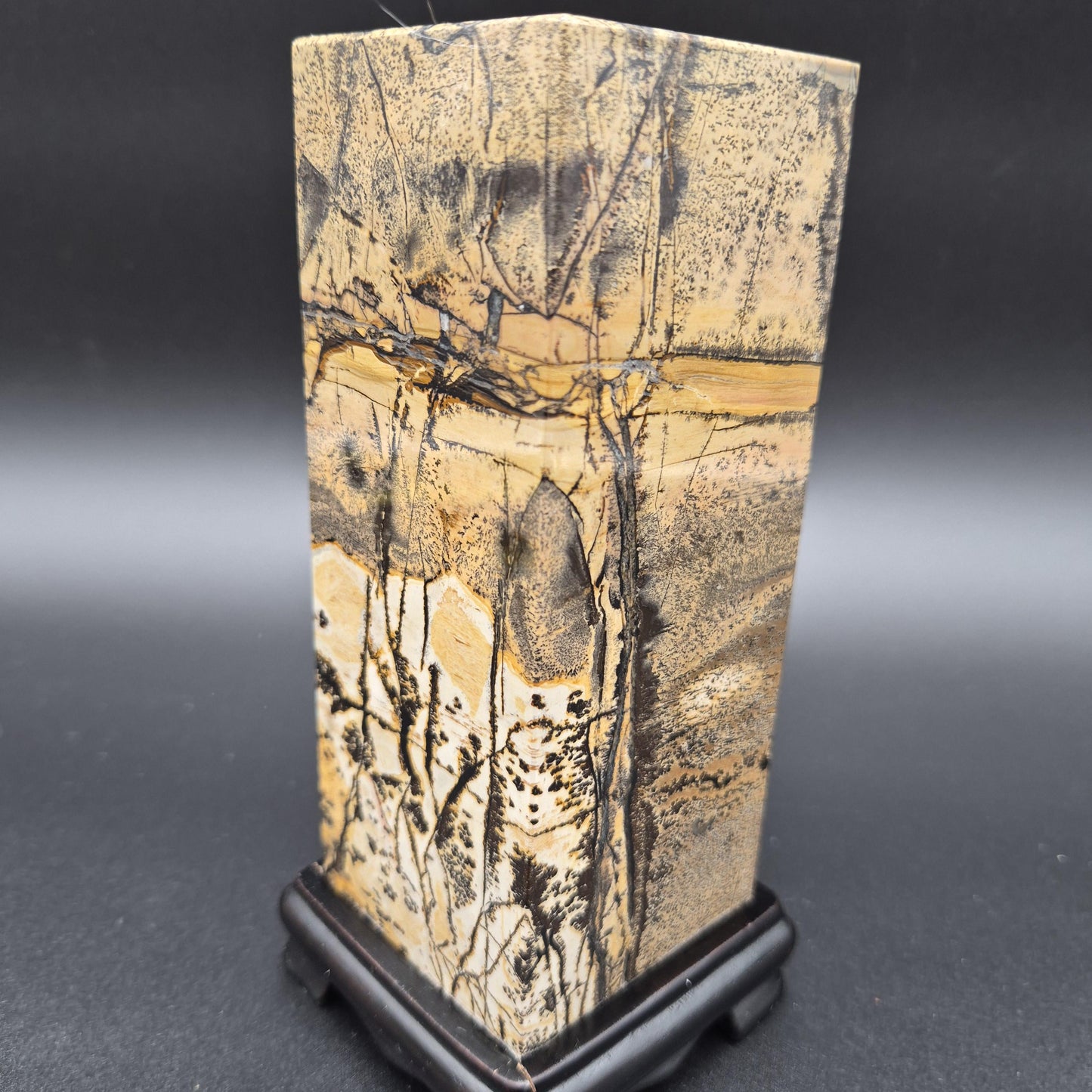 AAA+ Picture Jasper on Wood Base | Natural Scenic Stone Display | 3.37 lbs Crystal Hoarder