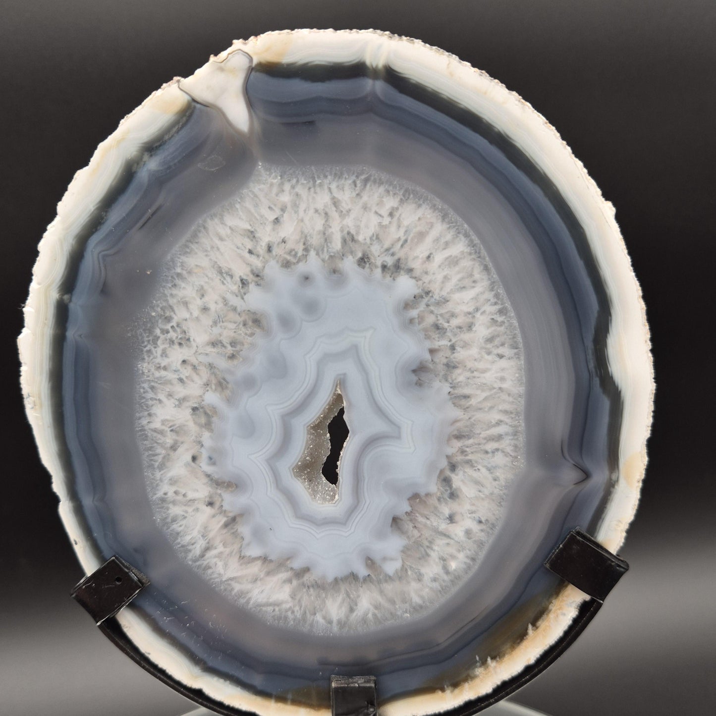 AAA+ Super Rare White and Dark Blue Agate with Druzy Quartz on Stand Brazil Crystal Hoarder